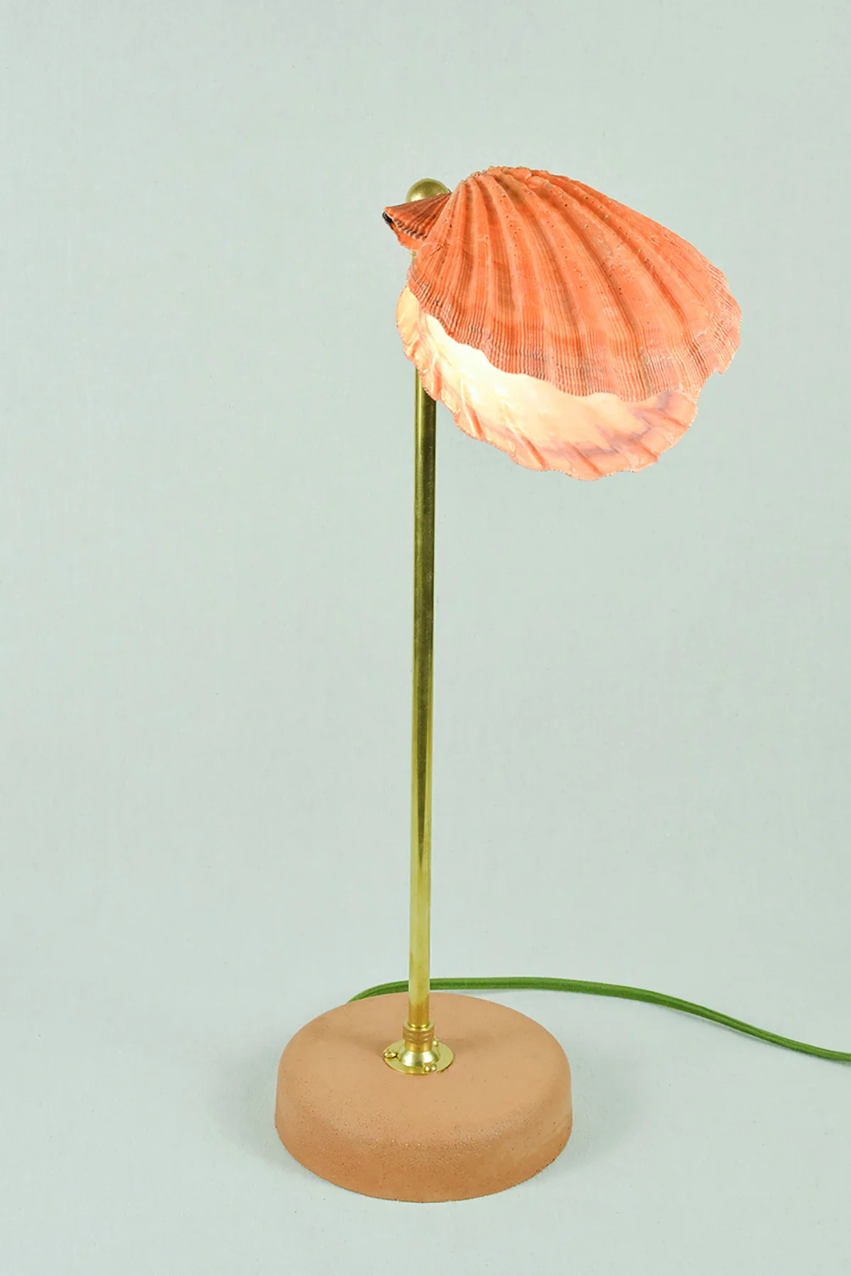 Lion's Paw Lamp - Image 12