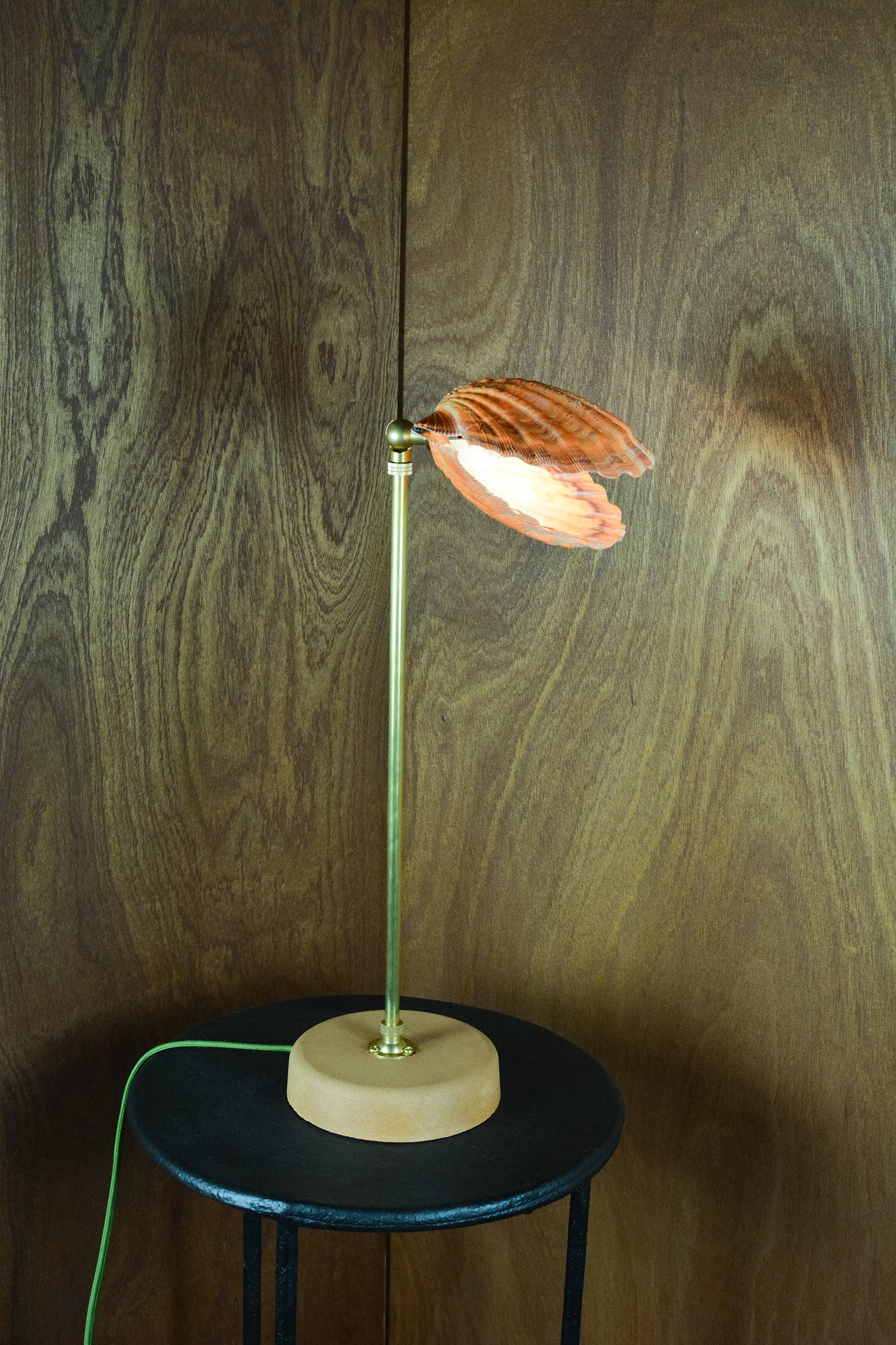Lion's Paw Lamp - Image 13