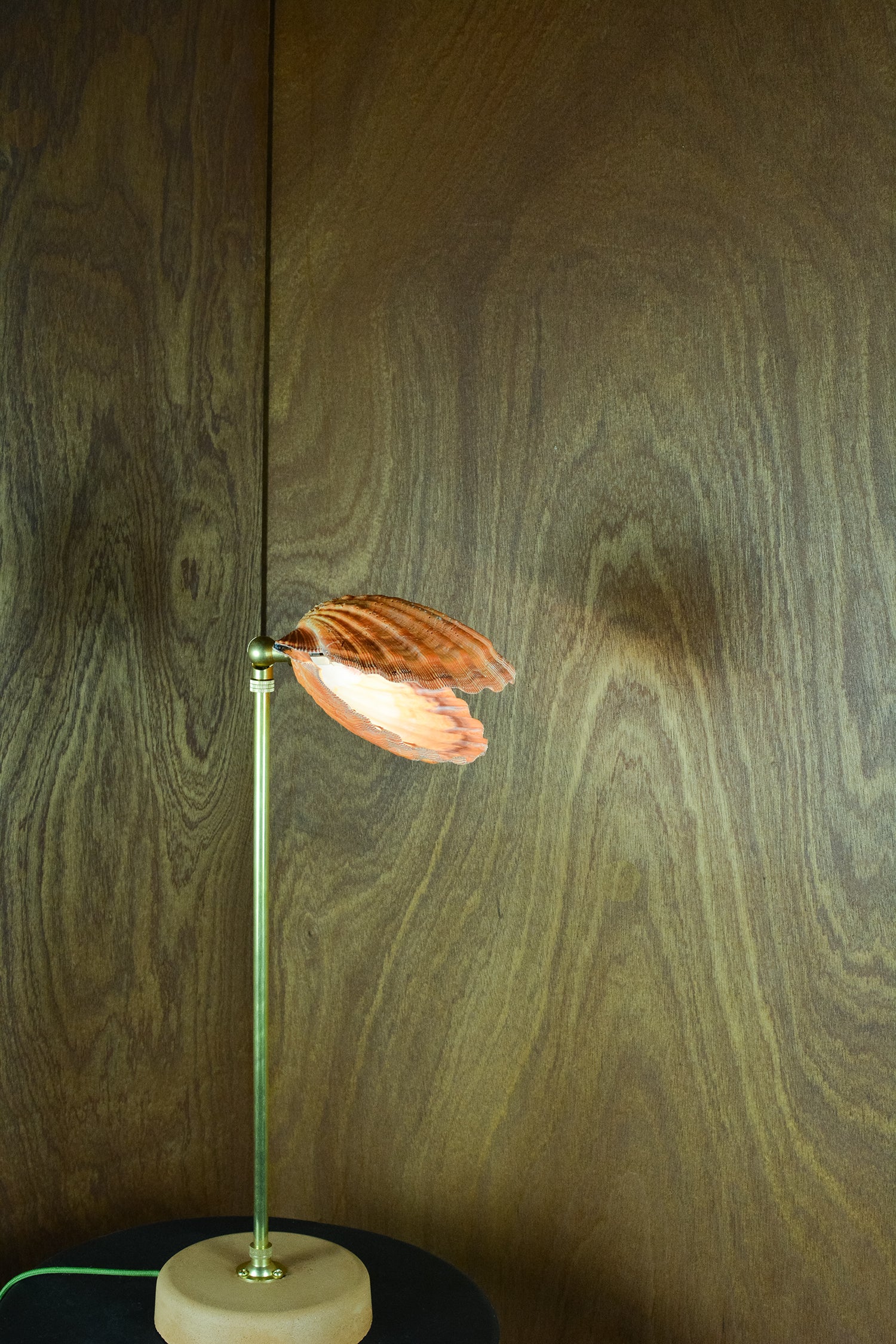 Lion's Paw Lamp - Image 14