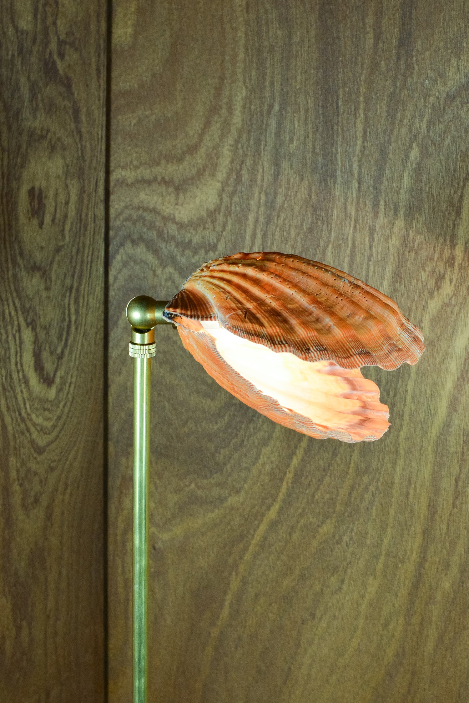 Lion's Paw Lamp - Image 15
