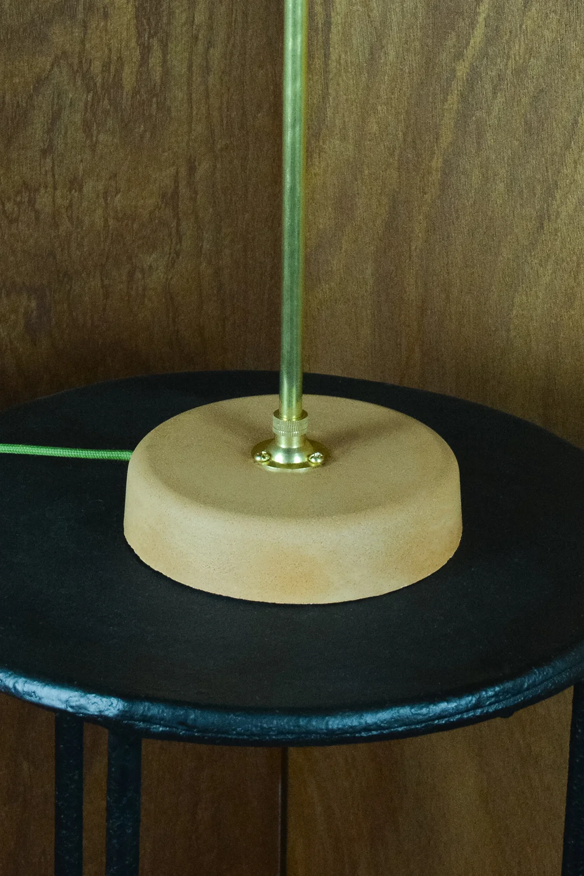 Lion's Paw Lamp - Image 16