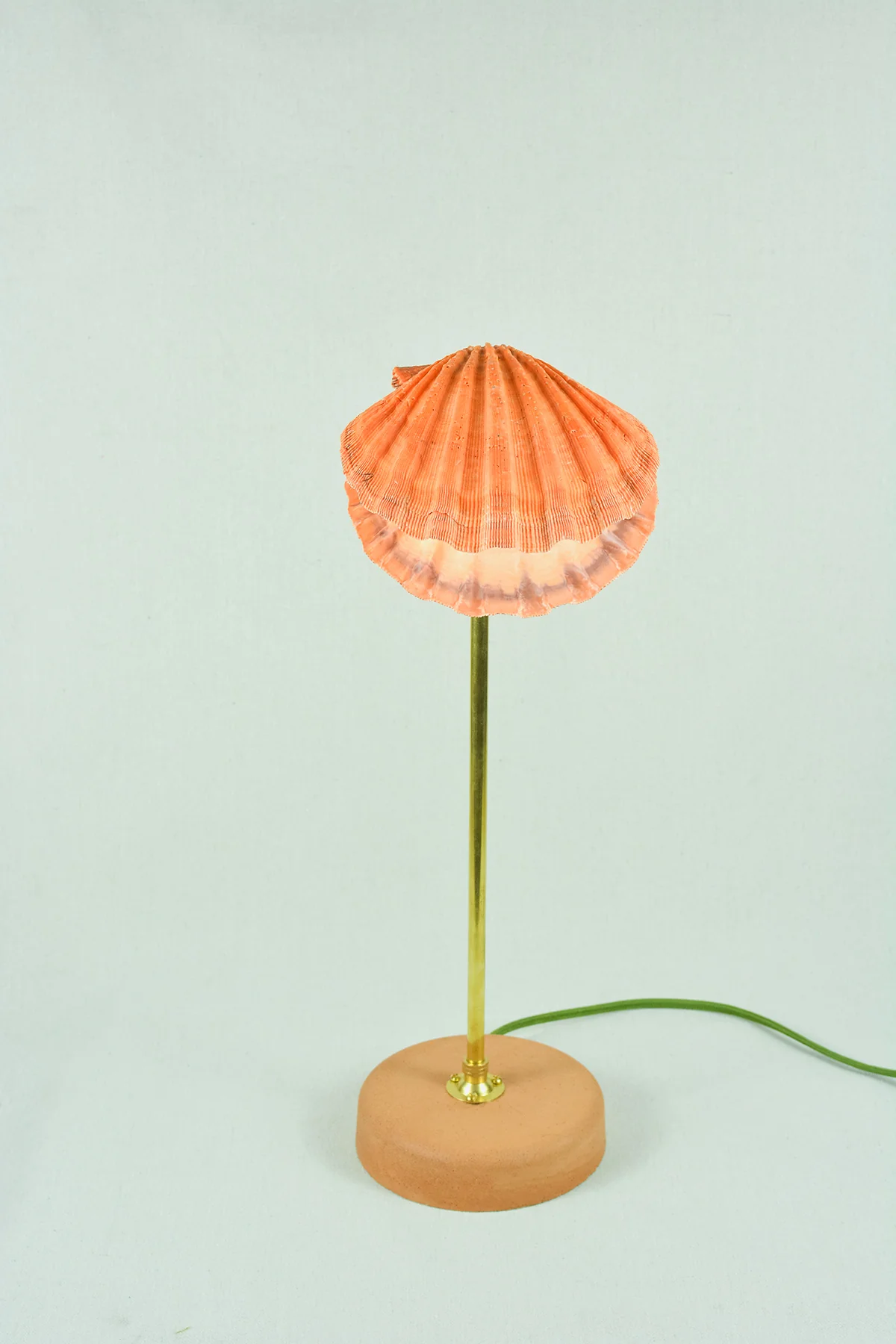 Lion's Paw Lamp - Image 3