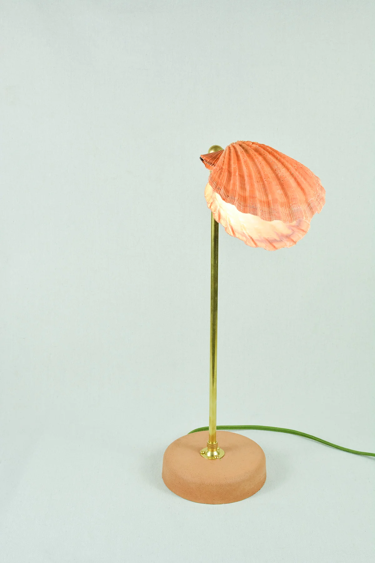 Lion's Paw Lamp - Image 4