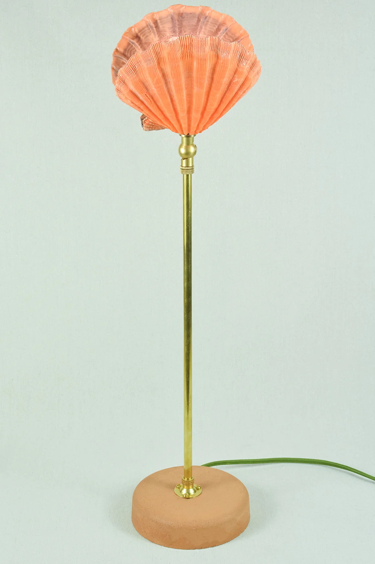 Lion's Paw Lamp - Image 5