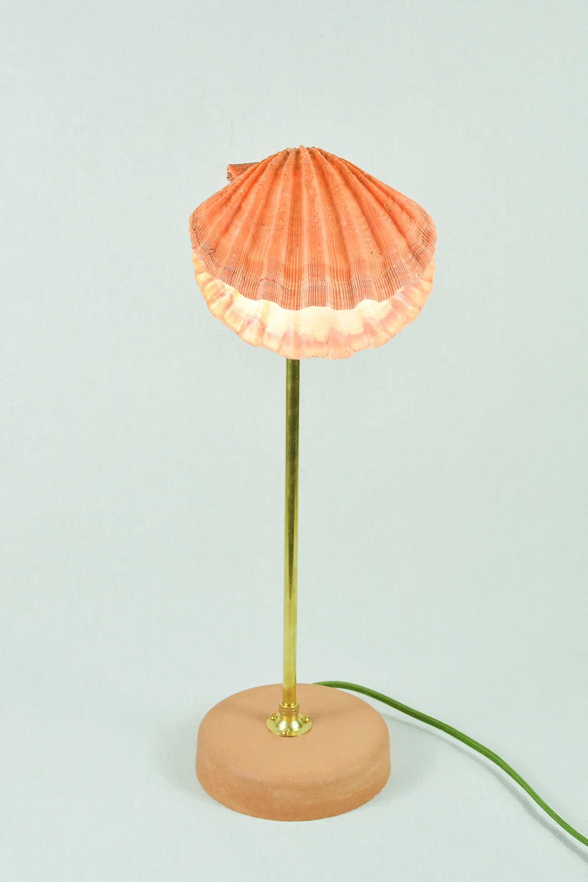 Lion's Paw Lamp - Image 6