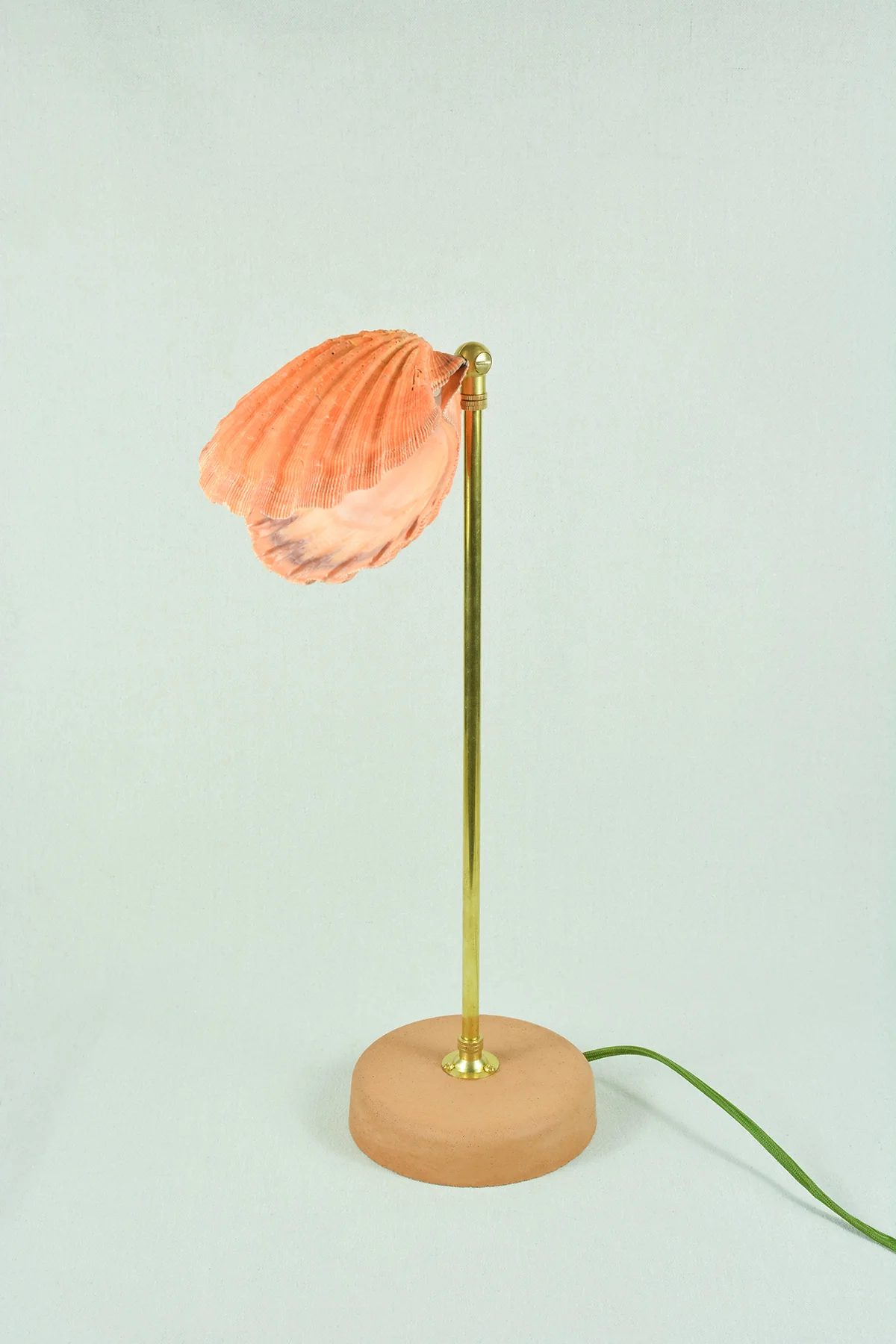Lion's Paw Lamp - Image 7