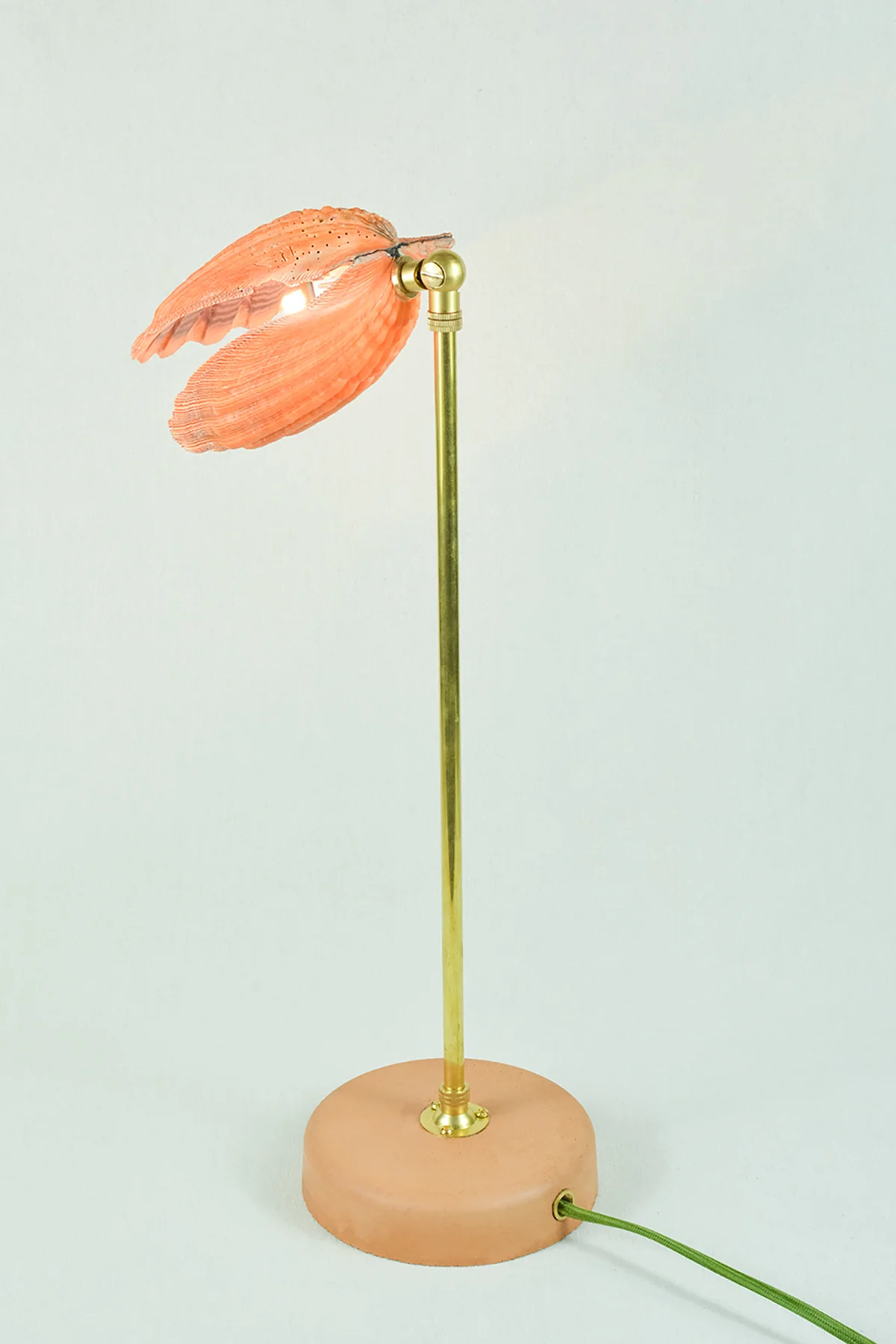 Lion's Paw Lamp - Image 8