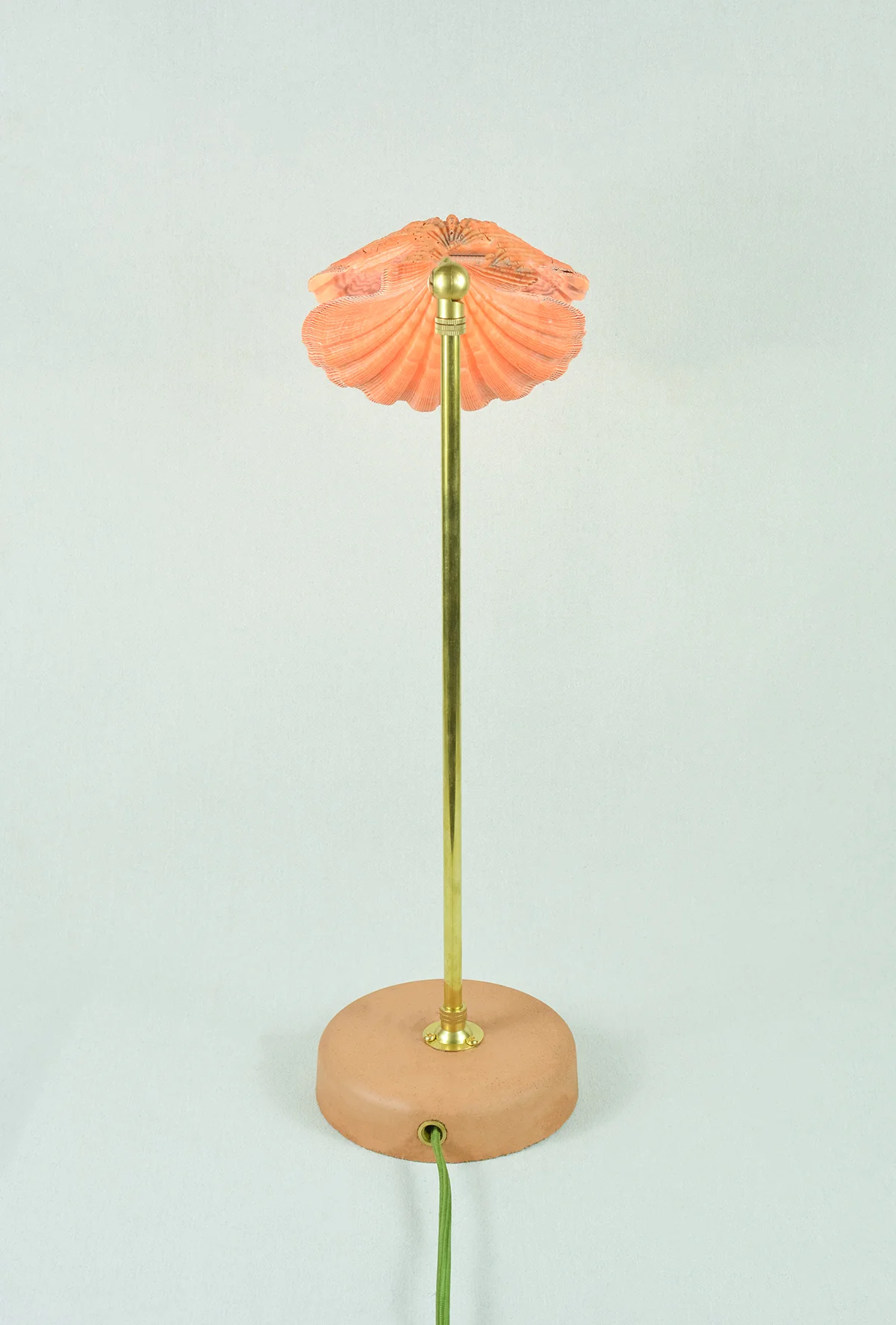 Lion's Paw Lamp - Image 9