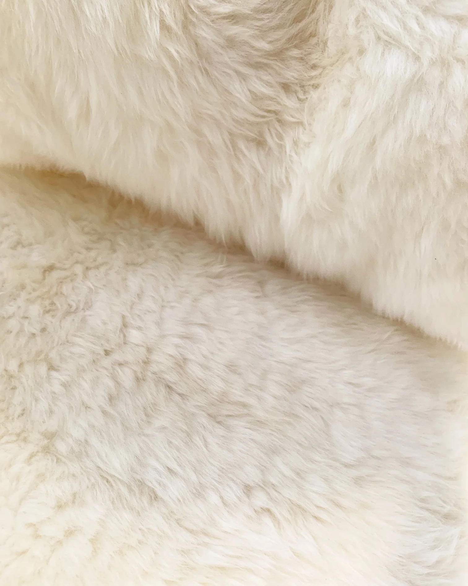 Lounge Chairs with Sheepskin Cushions - Image 4
