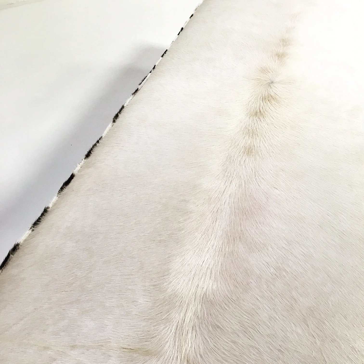 Chrome Bench in Brazilian Cowhide and Zebra Hide - Image 8
