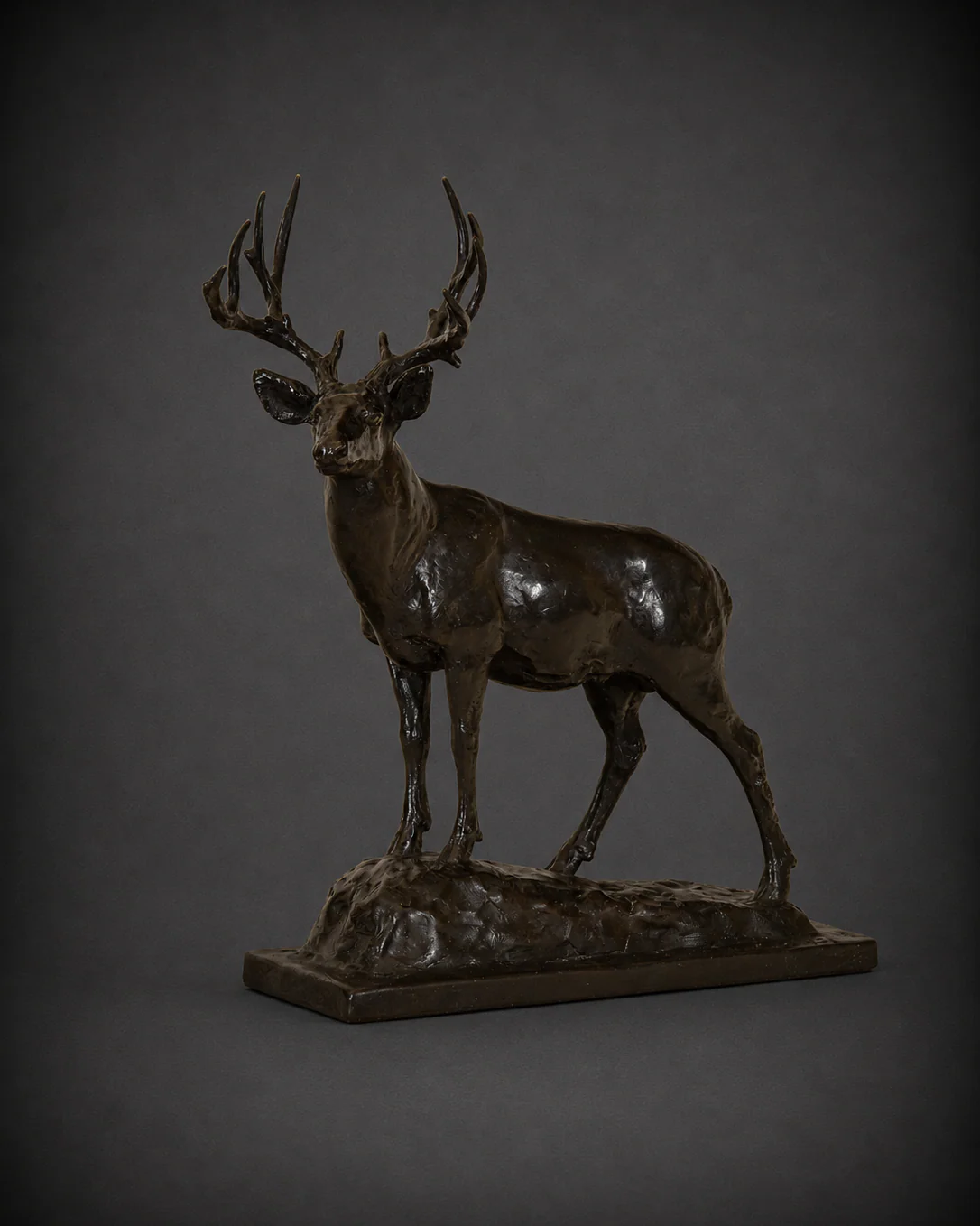 Mountain Muley – Mule Deer Buck