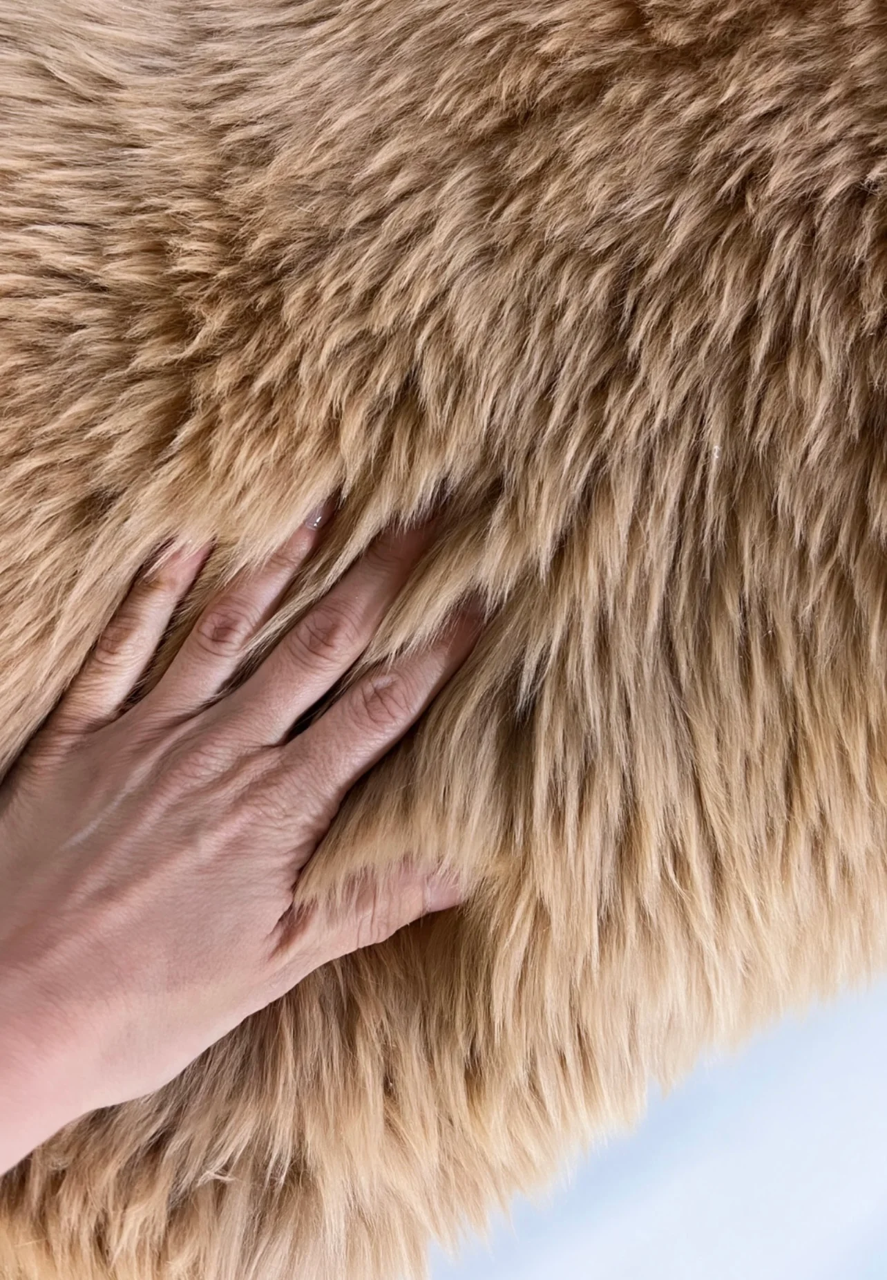 New Zealand Sheepskin Quad Rug - Tan - Image 5