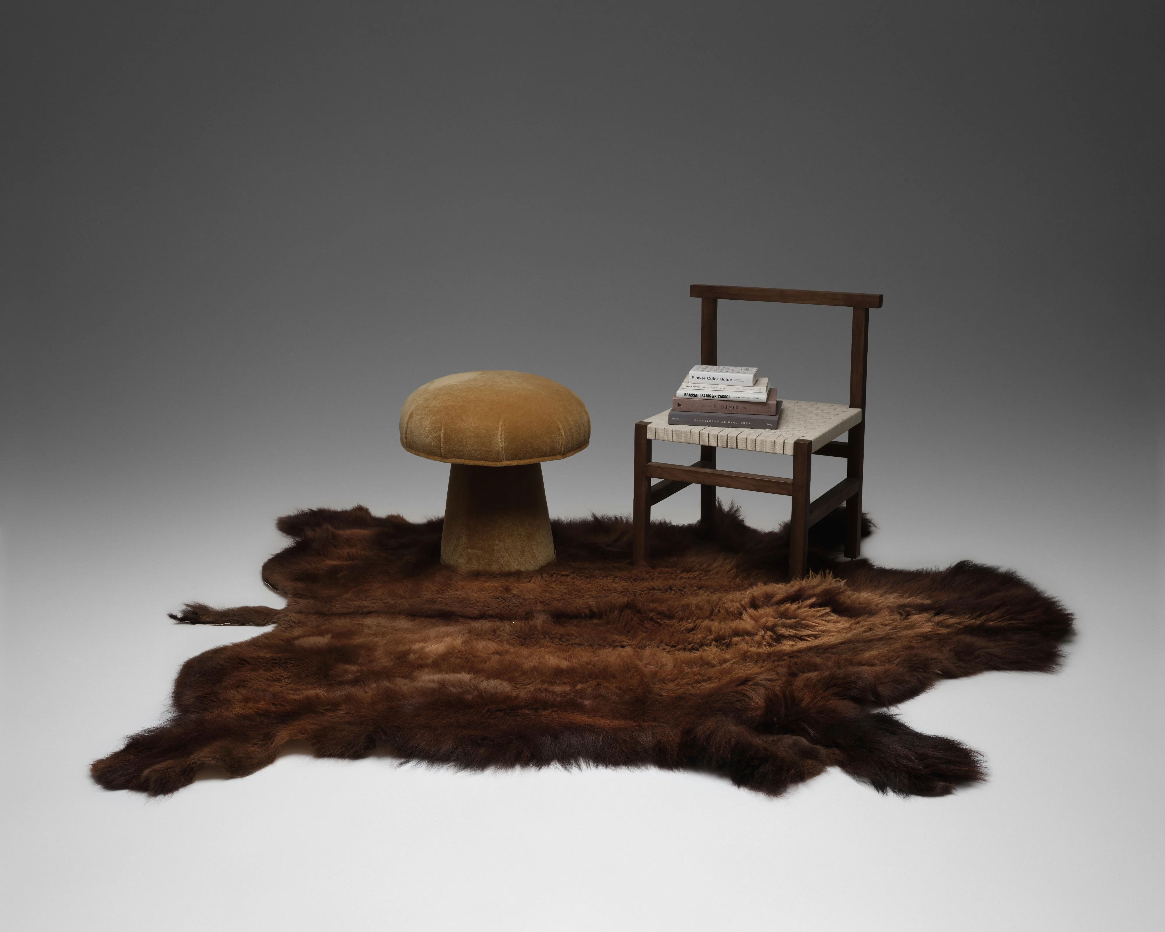 Bison Hide Rug - Image 3