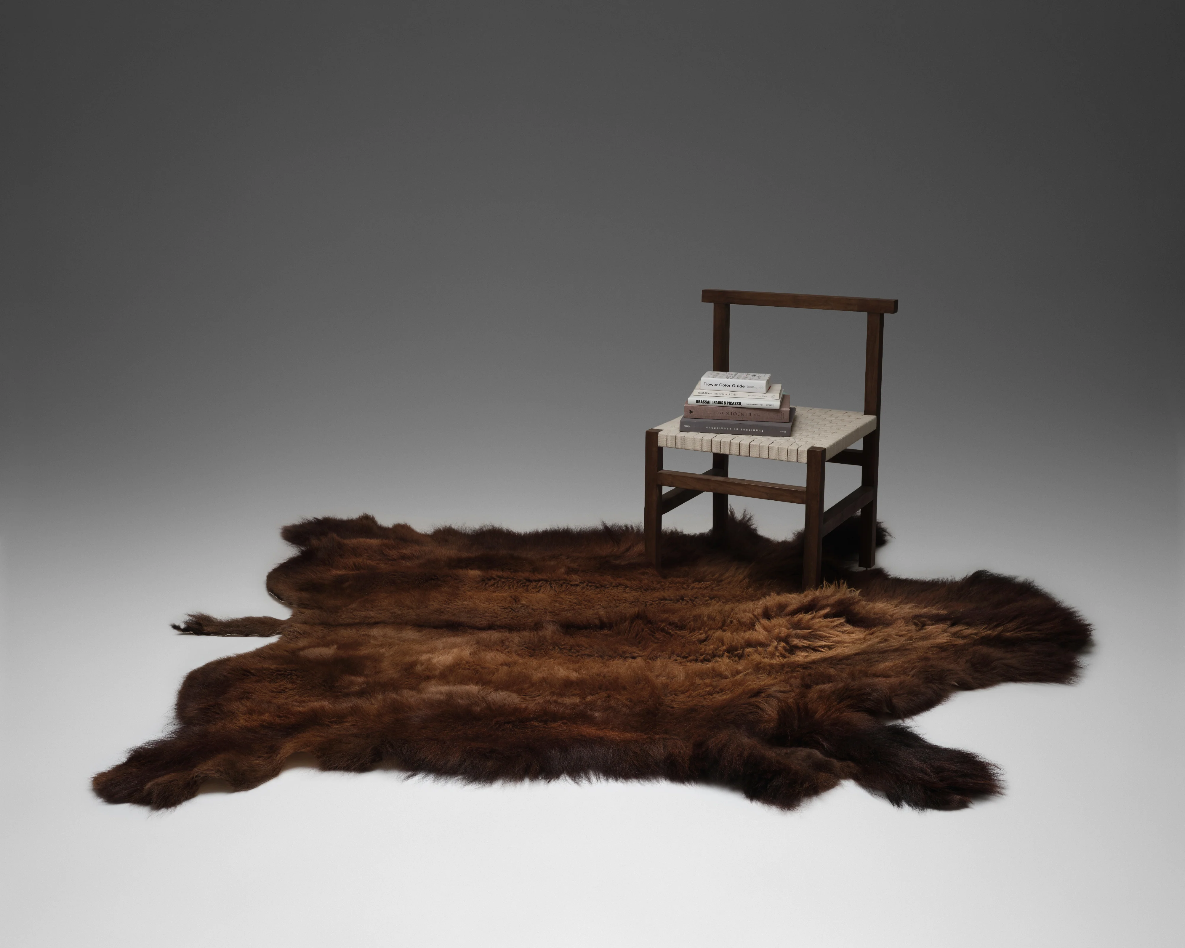 Bison Hide Rug - Image 4