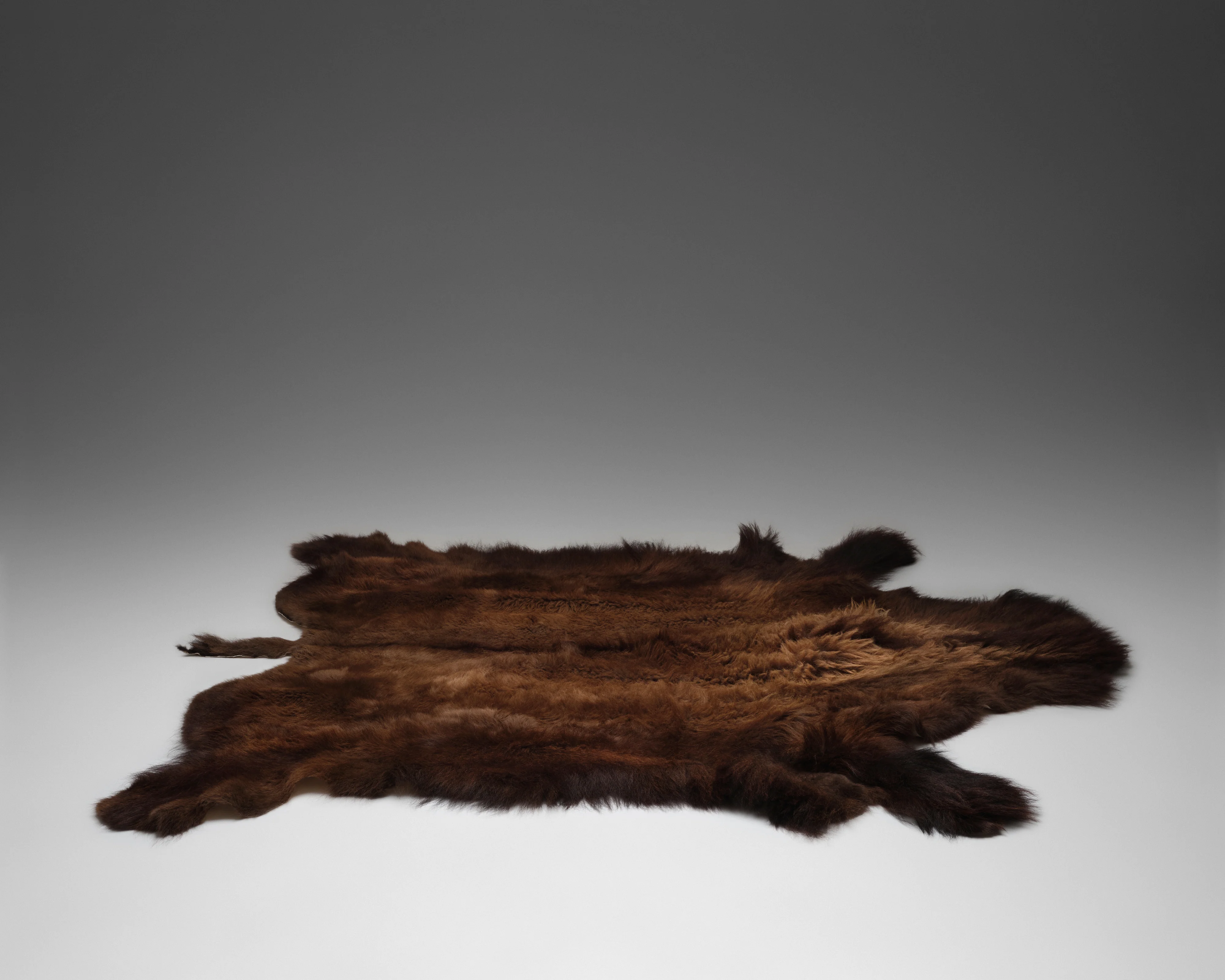 Bison Hide Rug - Image 5