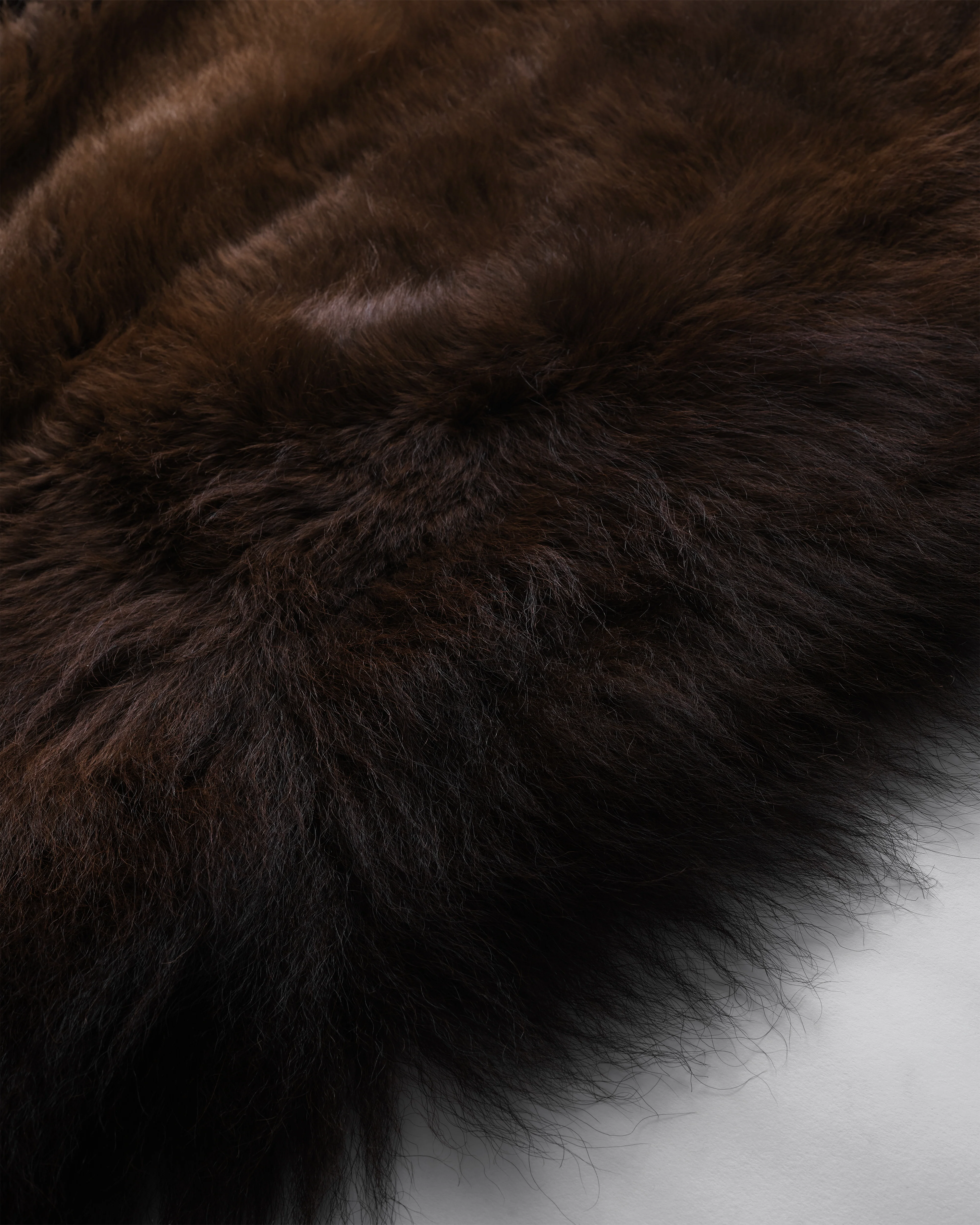 Bison Hide Rug - Image 6