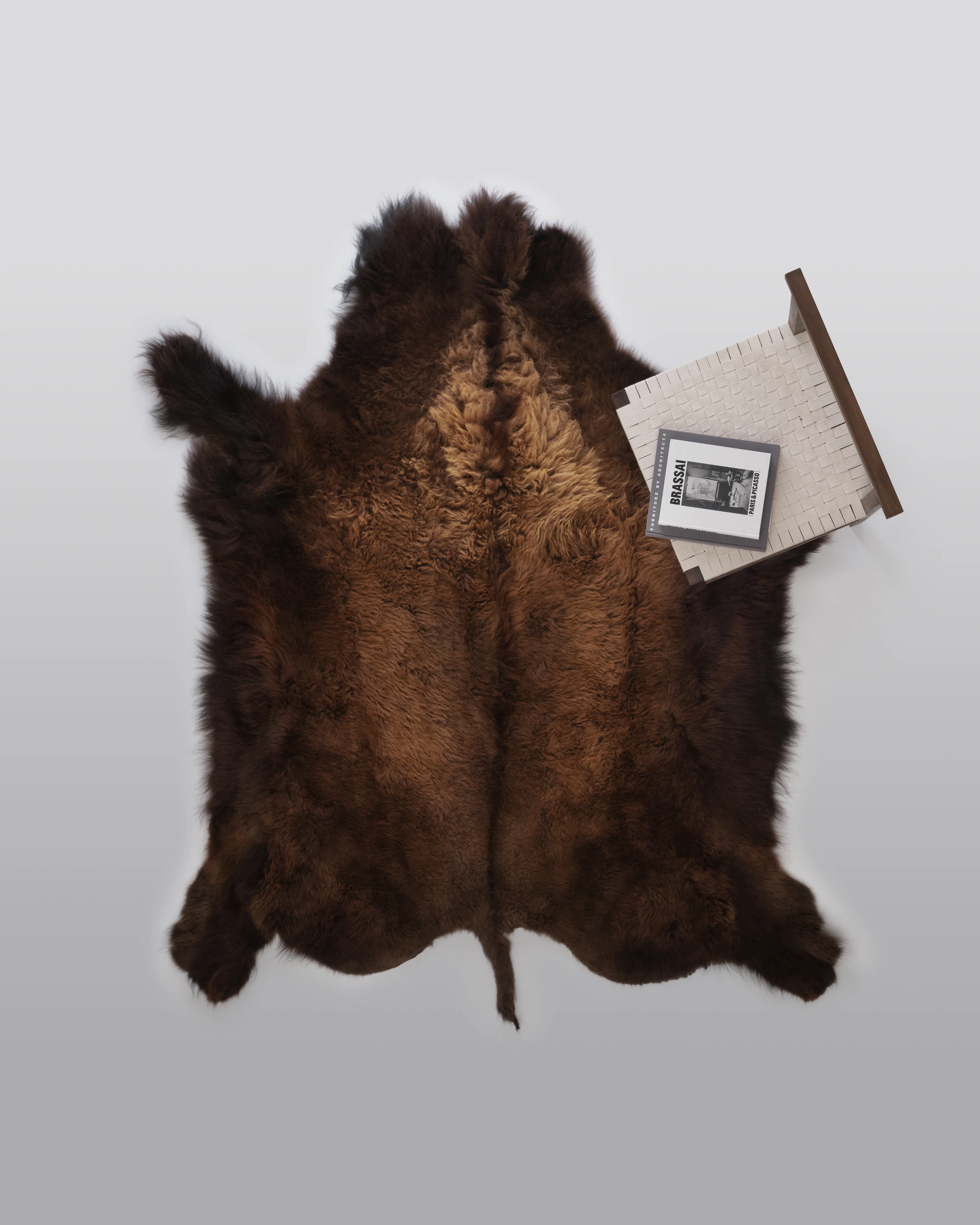 Bison Hide Rug - Image 7