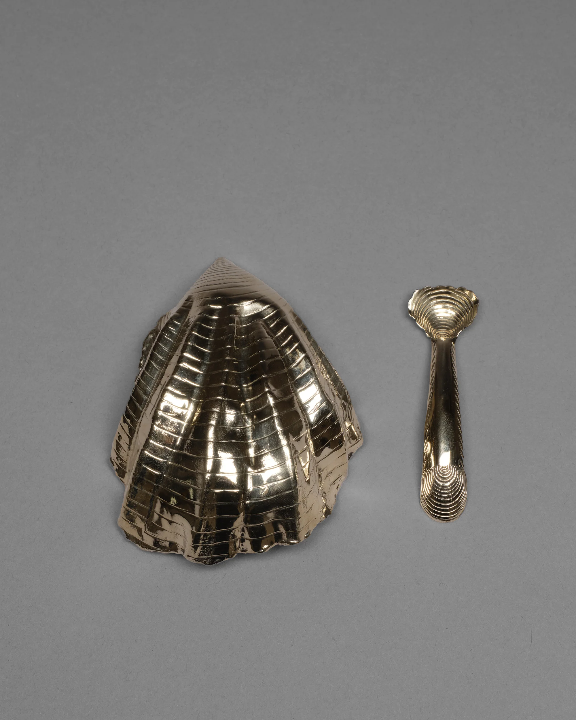 Oyster Shell Salt and Pepper Well - Image 3