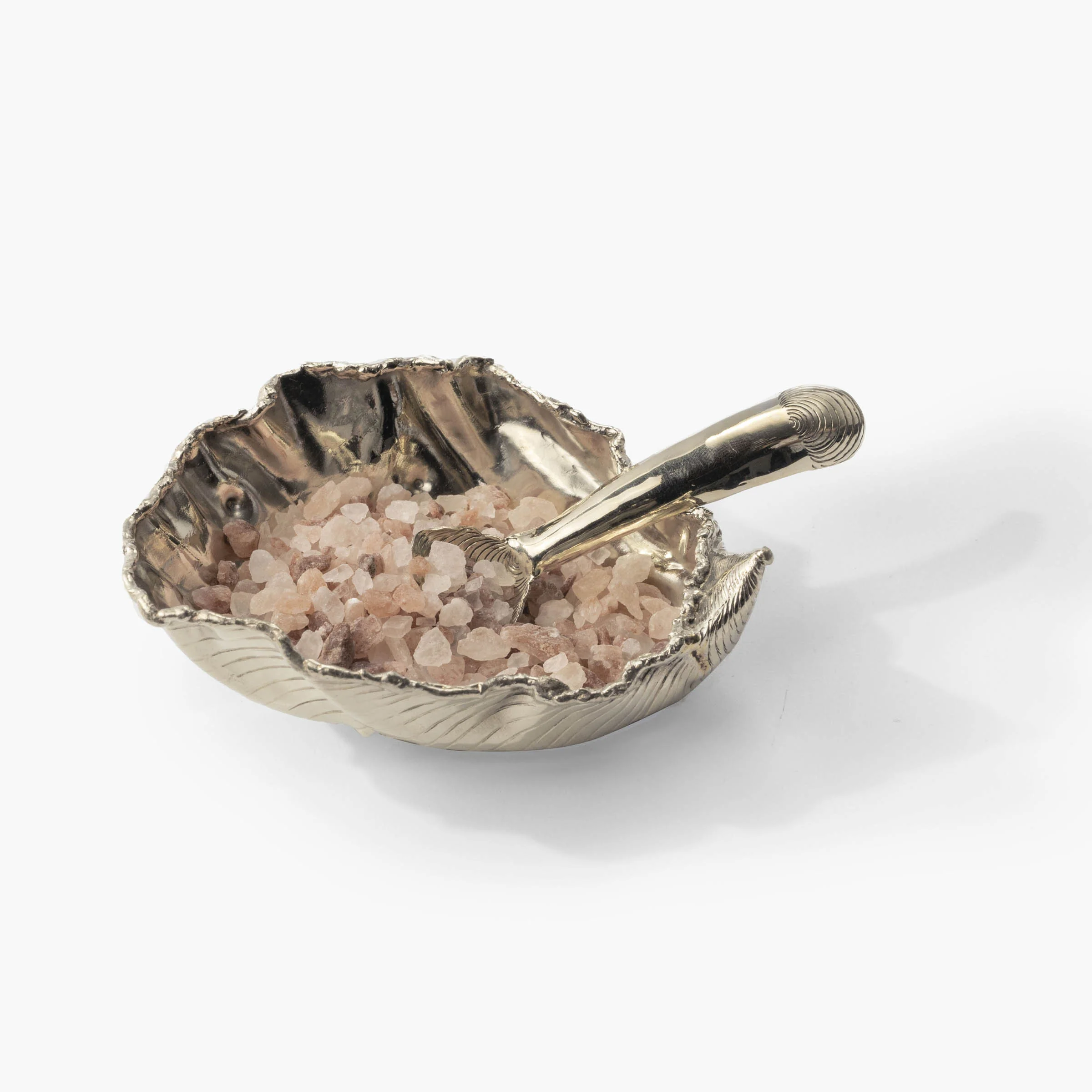 Oyster Shell Salt and Pepper Well - Image 4
