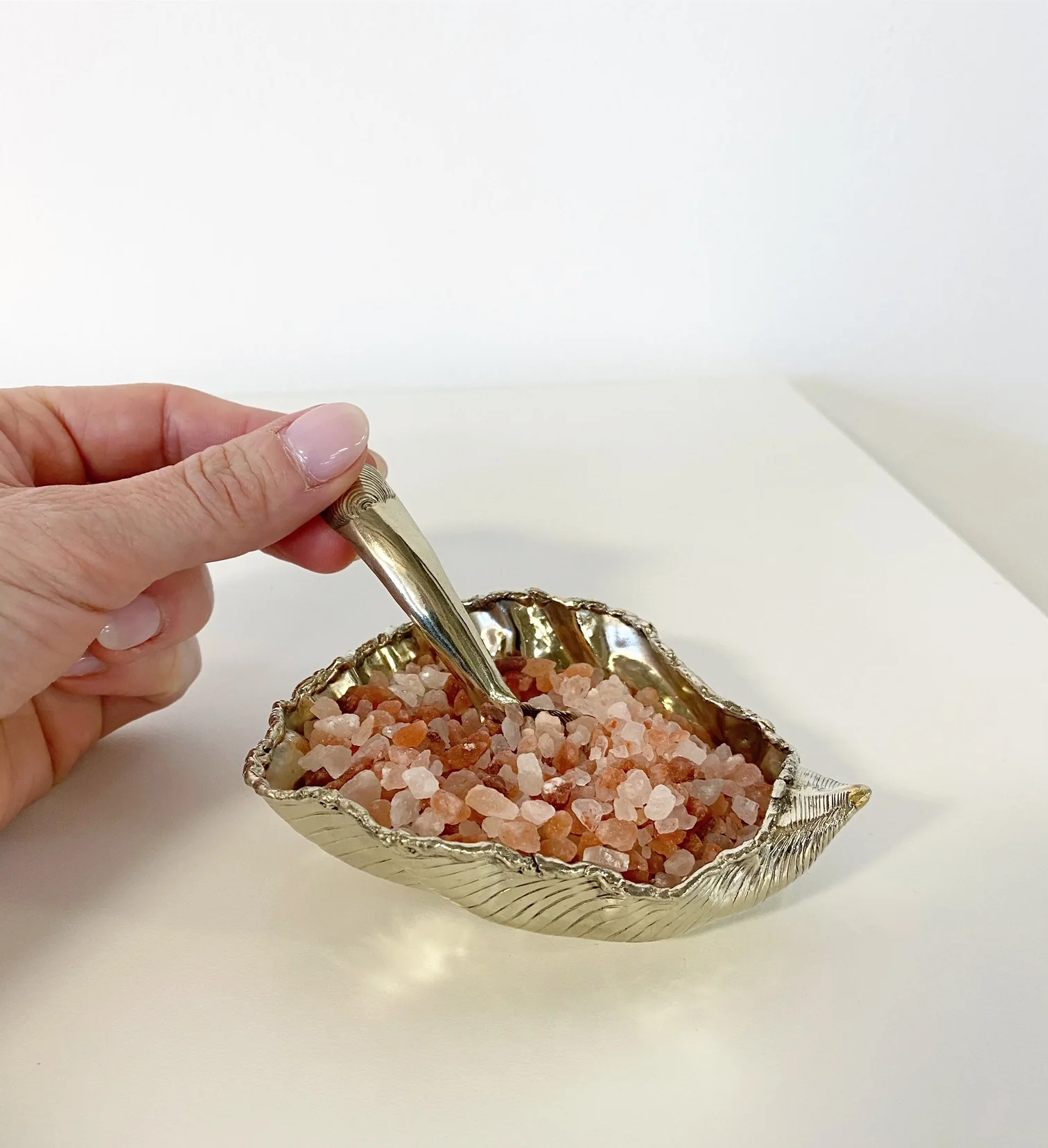 Oyster Shell Salt and Pepper Well - Image 6