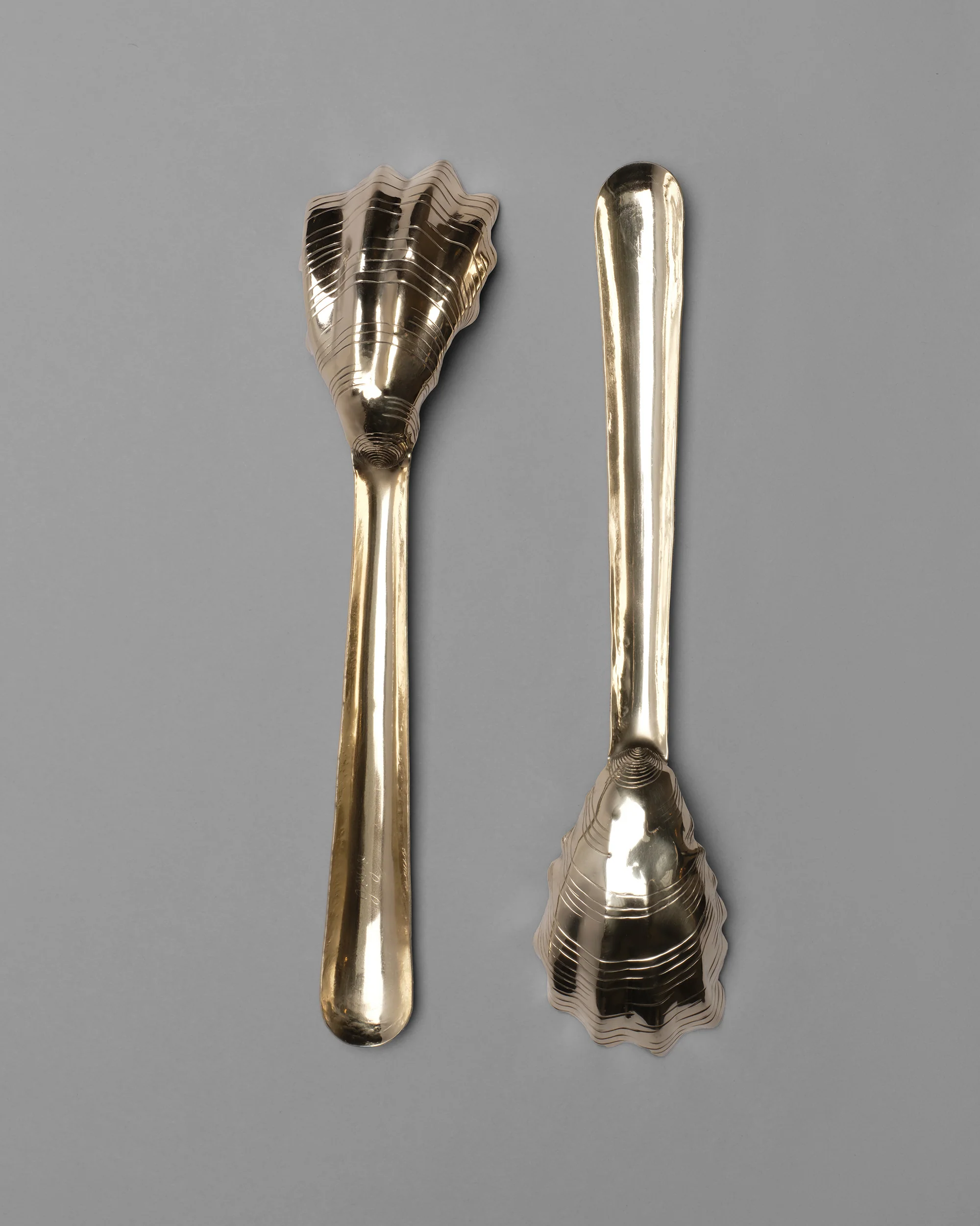 Oyster Shell Serving Set - Image 3