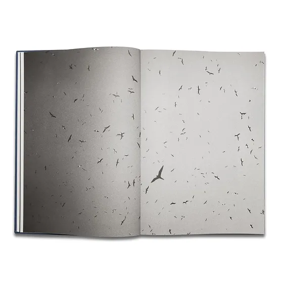 Pierrot ‏‏‎ ‎— ‏‏‎ ‎Tropisms, First Edition - Image 3