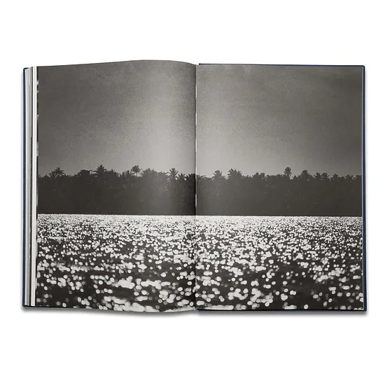 Pierrot ‏‏‎ ‎— ‏‏‎ ‎Tropisms, First Edition - Image 6