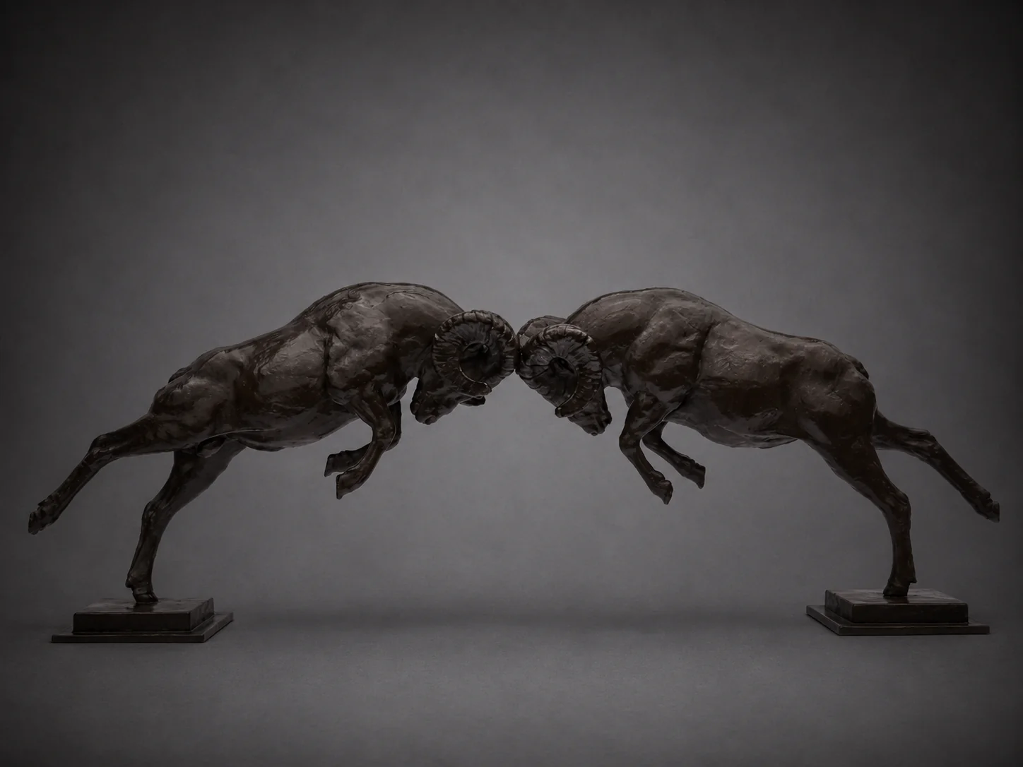 Prime Time – Bighorn Sheep