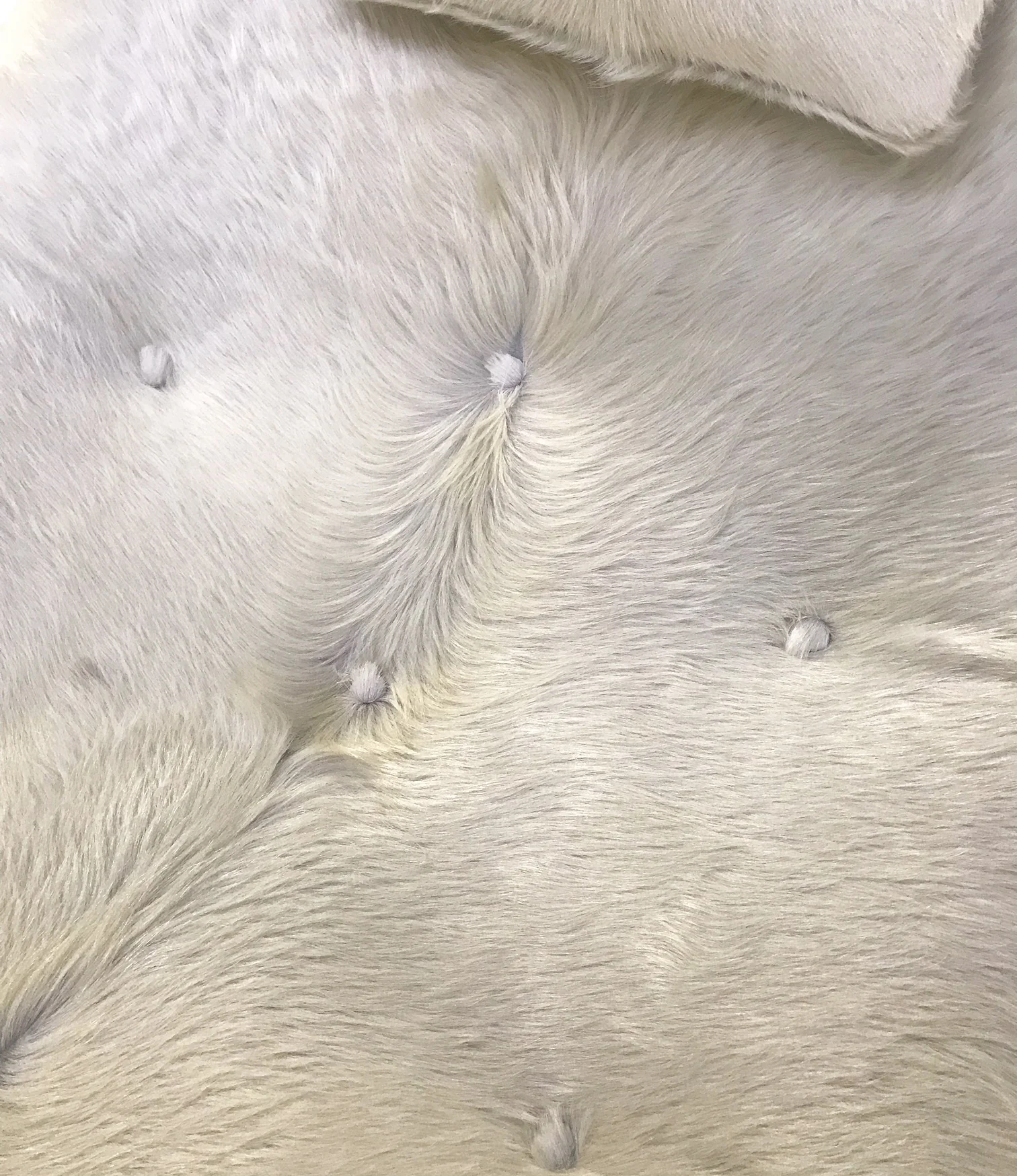 1828 C Chaise Lounge in Brazilian Cowhide - Image 4