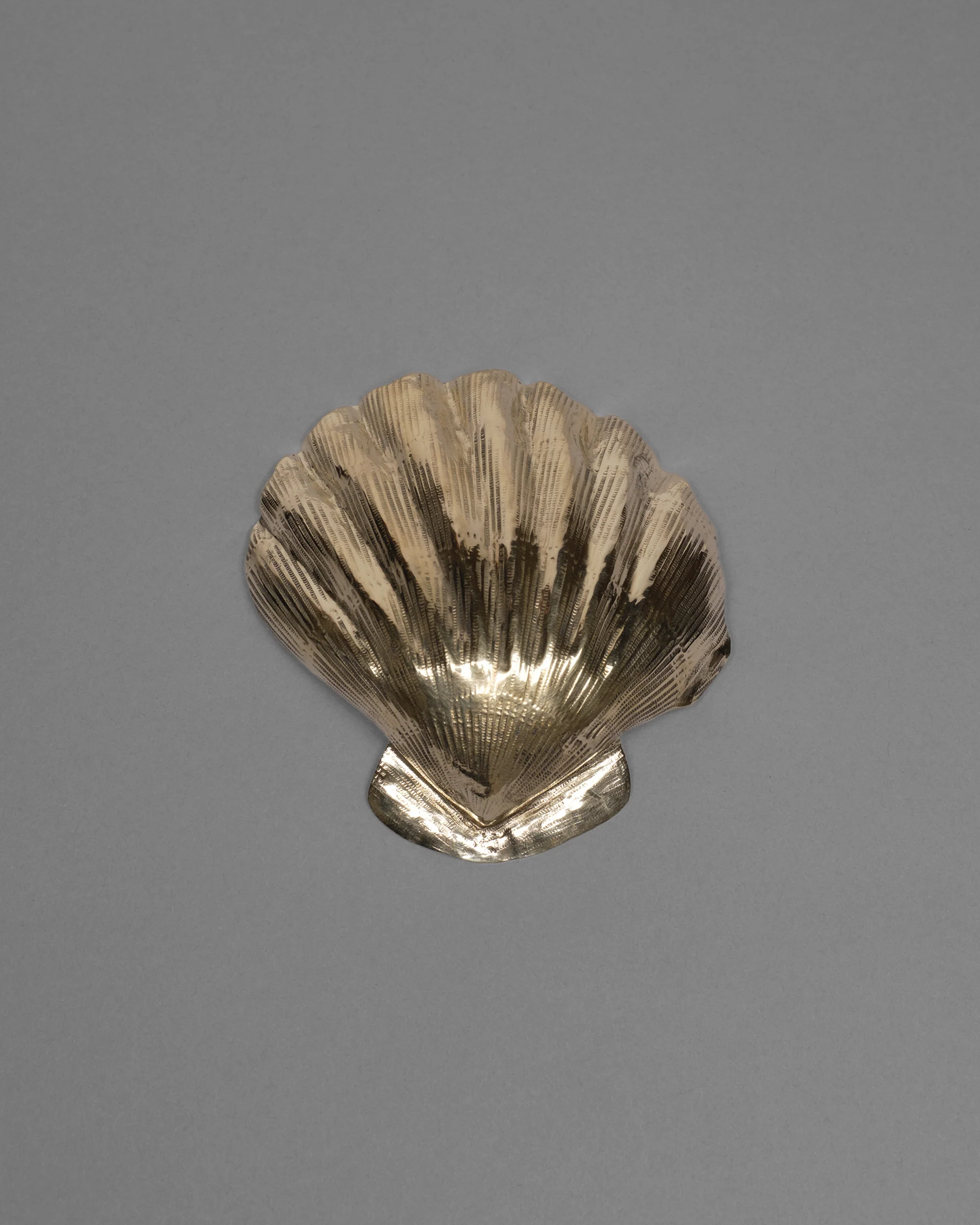 Scallop Shell Bowl - Image 4