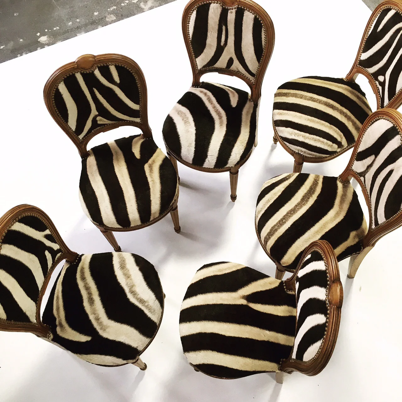 Louis XVI Style Dining Chairs in Zebra Hide, set of 6 - Image 4