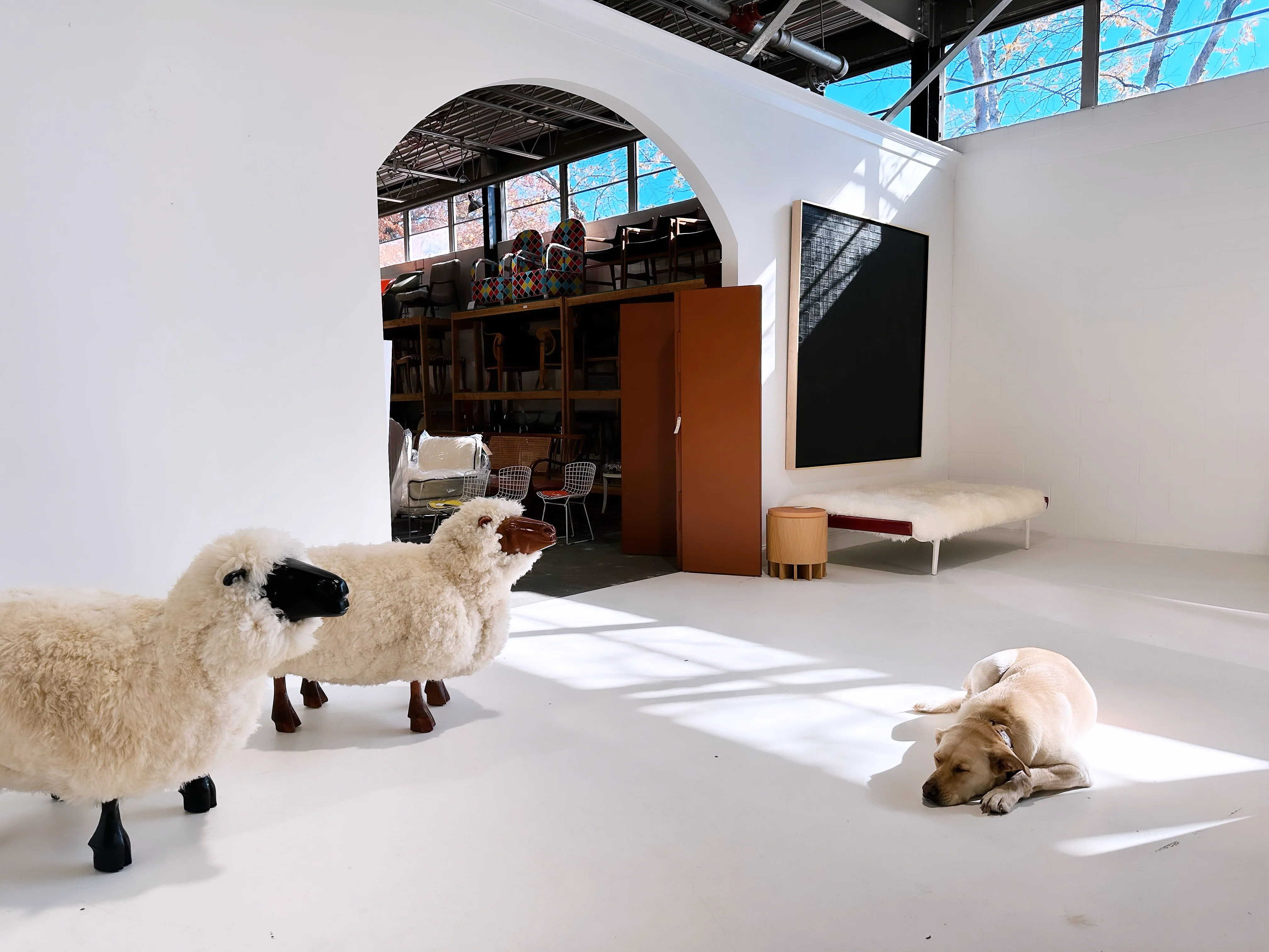 Sheep Sculptures in the Manner of LaLanne - Image 6