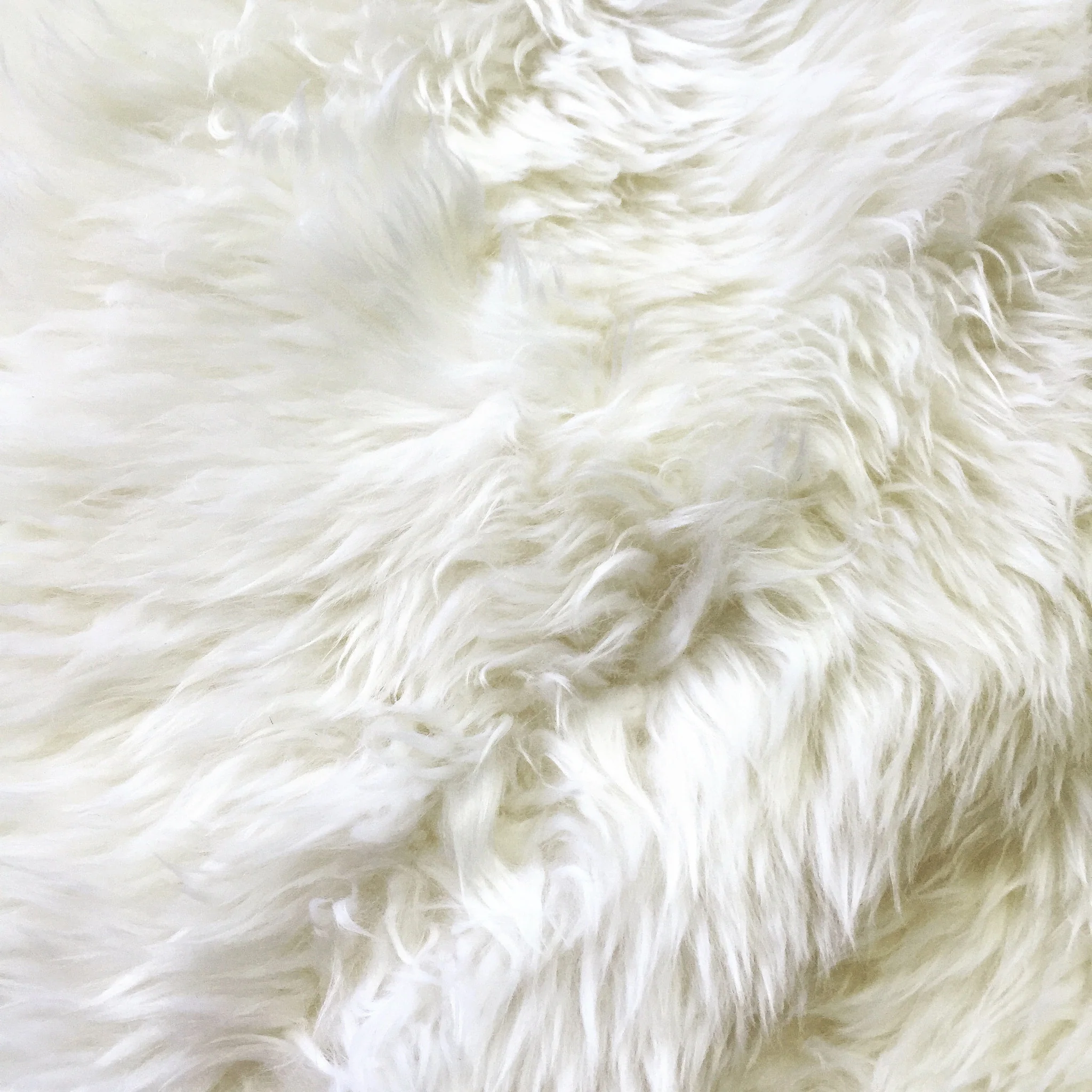 New Zealand Sheepskin Rug - Ivory - Image 4