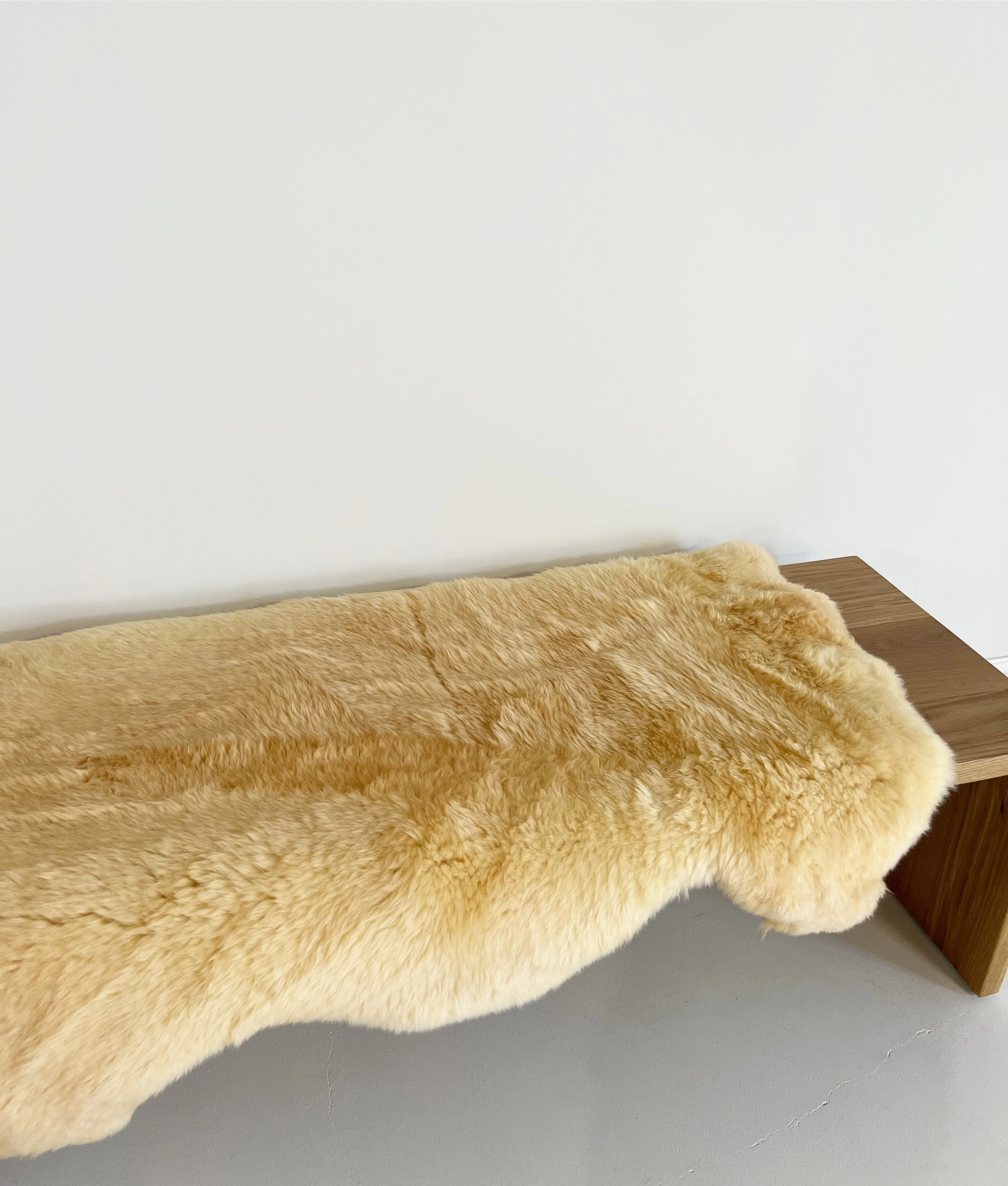 Texas Sheepskin Rug - Image 4