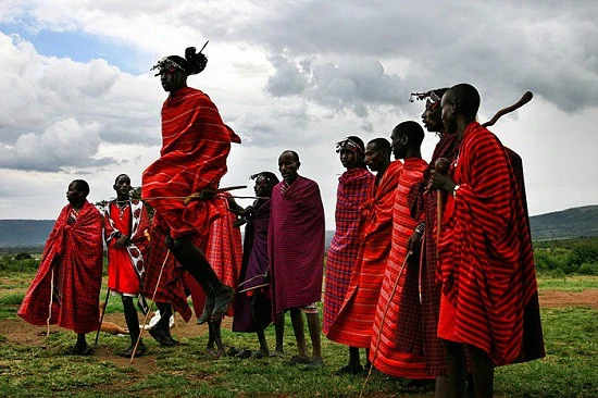 Zebra Hide Rug, Trimmed in Maasai Shuka - Image 7
