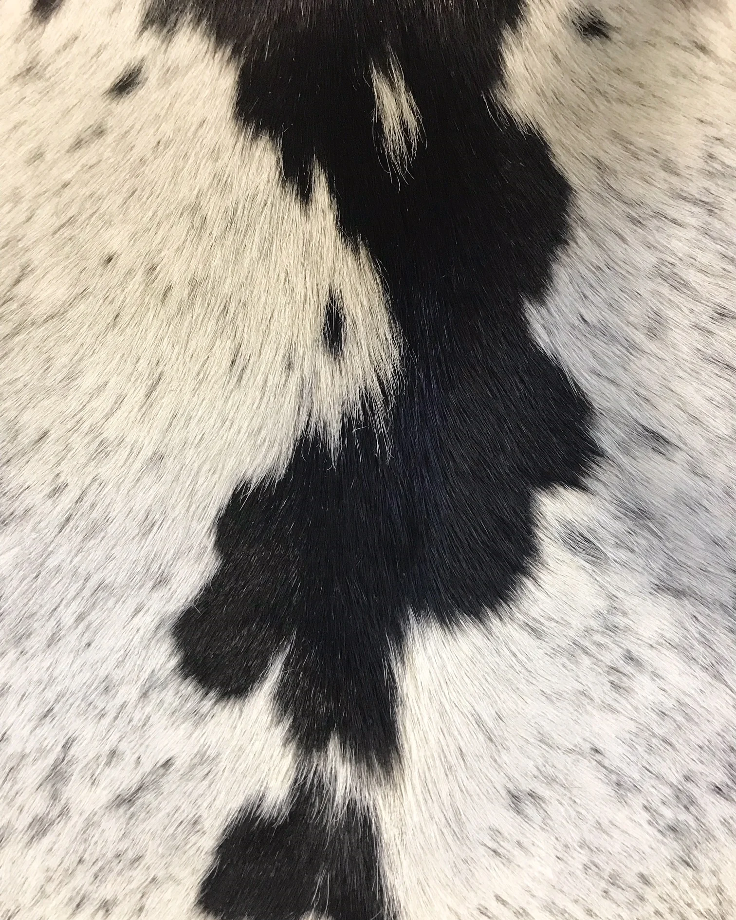 Armchair in Brazilian Cowhide - Image 6