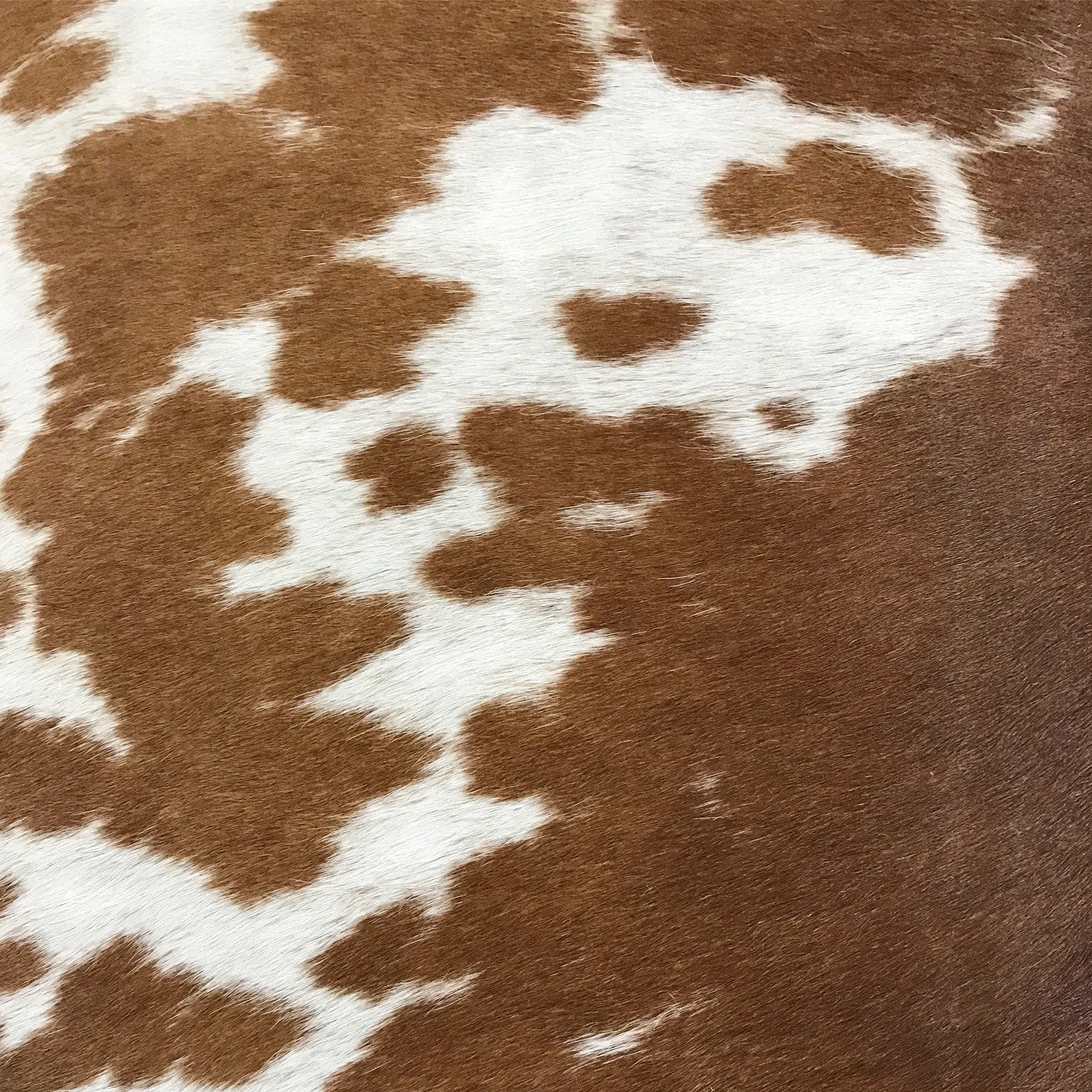 Vintage Chinese Bench with Brazilian Cowhide Cushion - Image 8