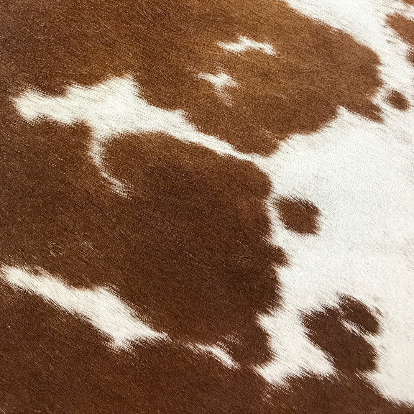 Vintage Chinese Bench with Brazilian Cowhide Cushion - Image 9