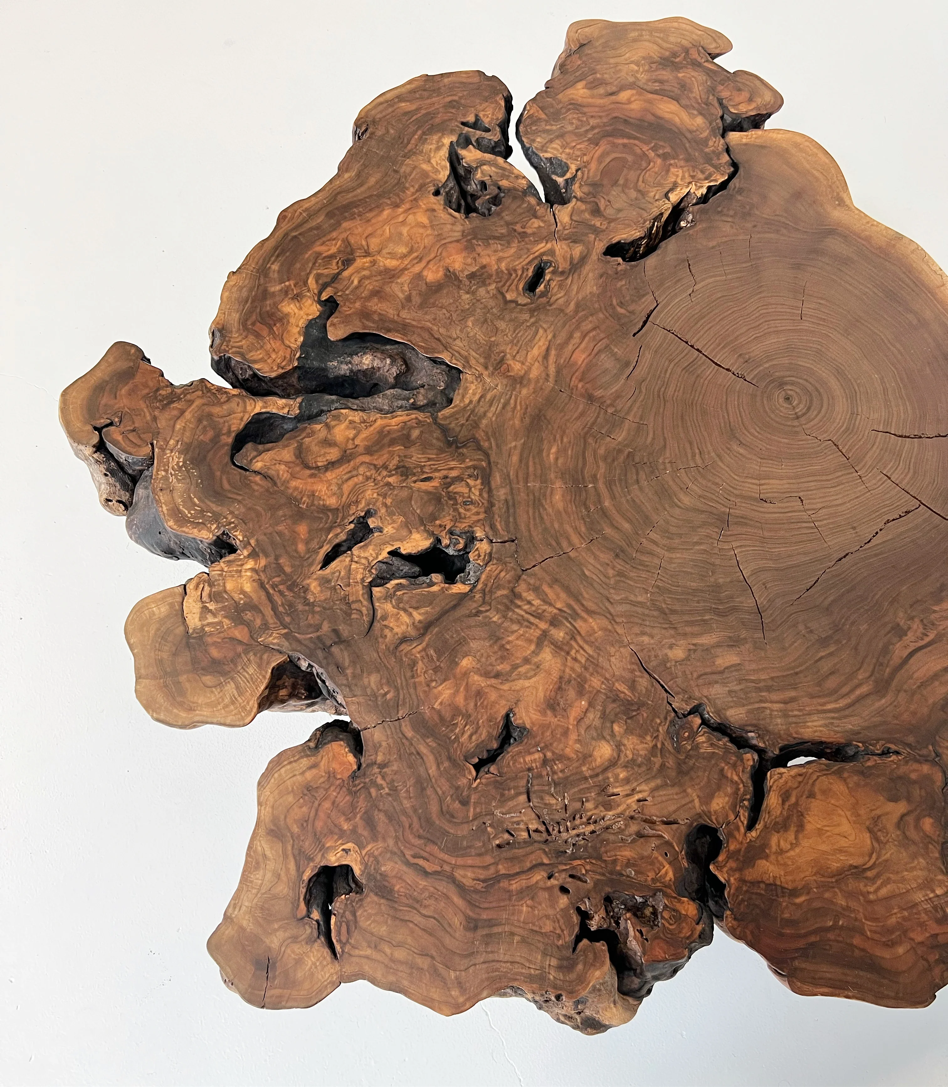 Walnut Burl Coffee Table - Image 6