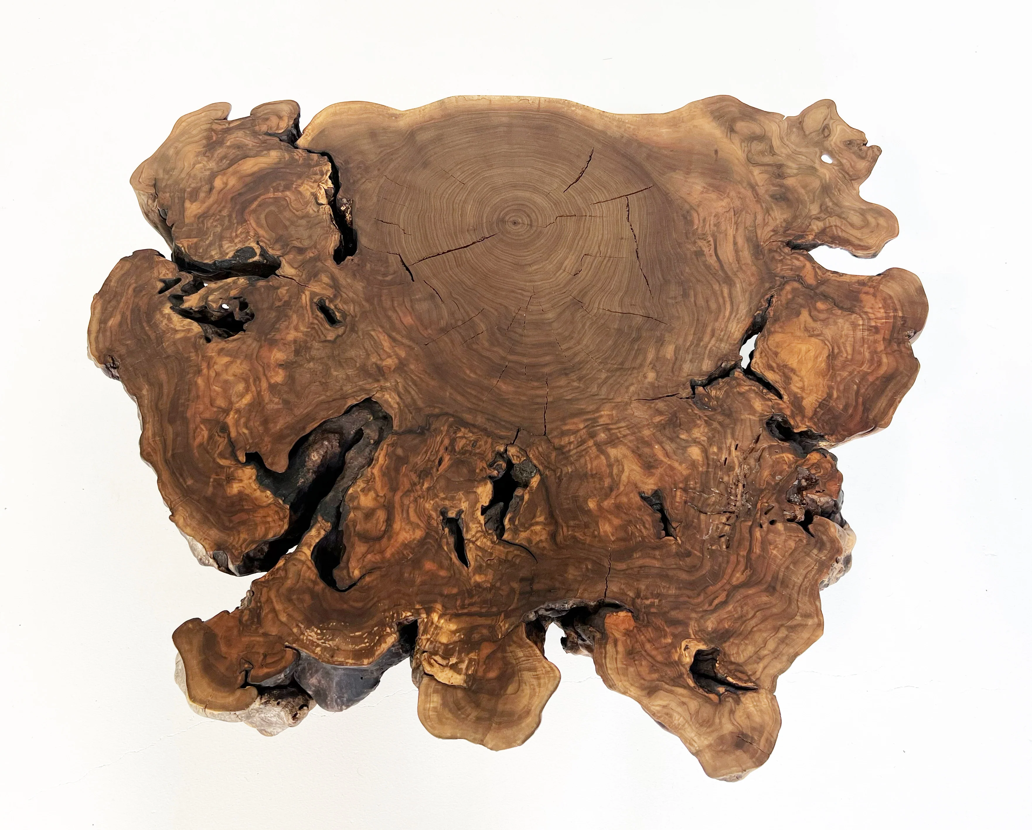 Walnut Burl Coffee Table - Image 9