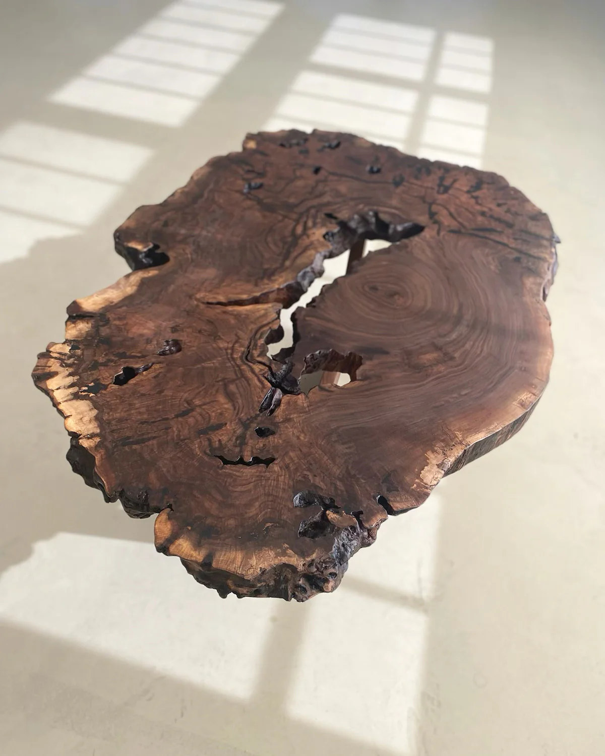 Walnut Burl Slab Coffee Table, Edition of 10 - Image 16