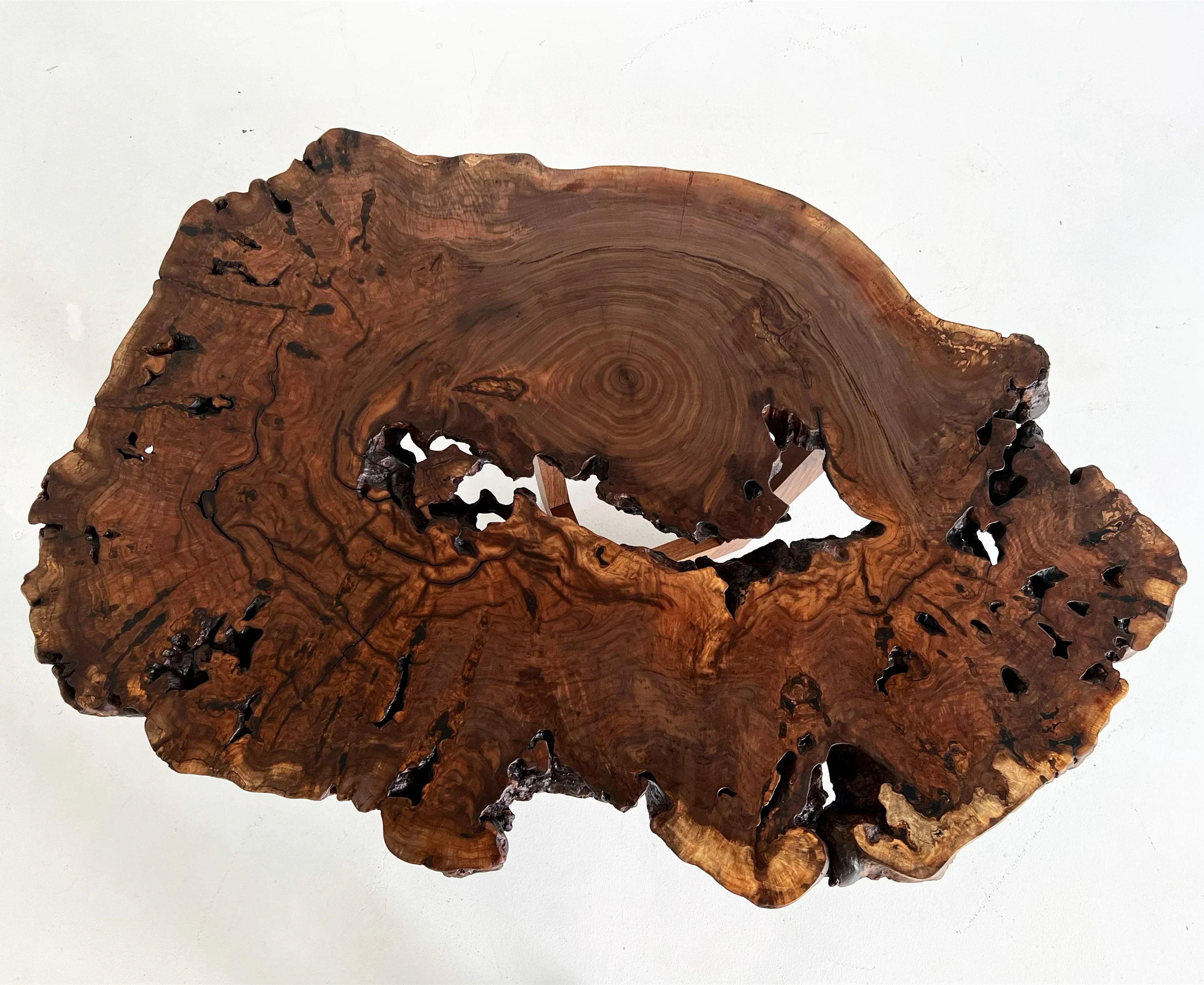 Walnut Burl Slab Coffee Table, Edition of 10 - Image 5