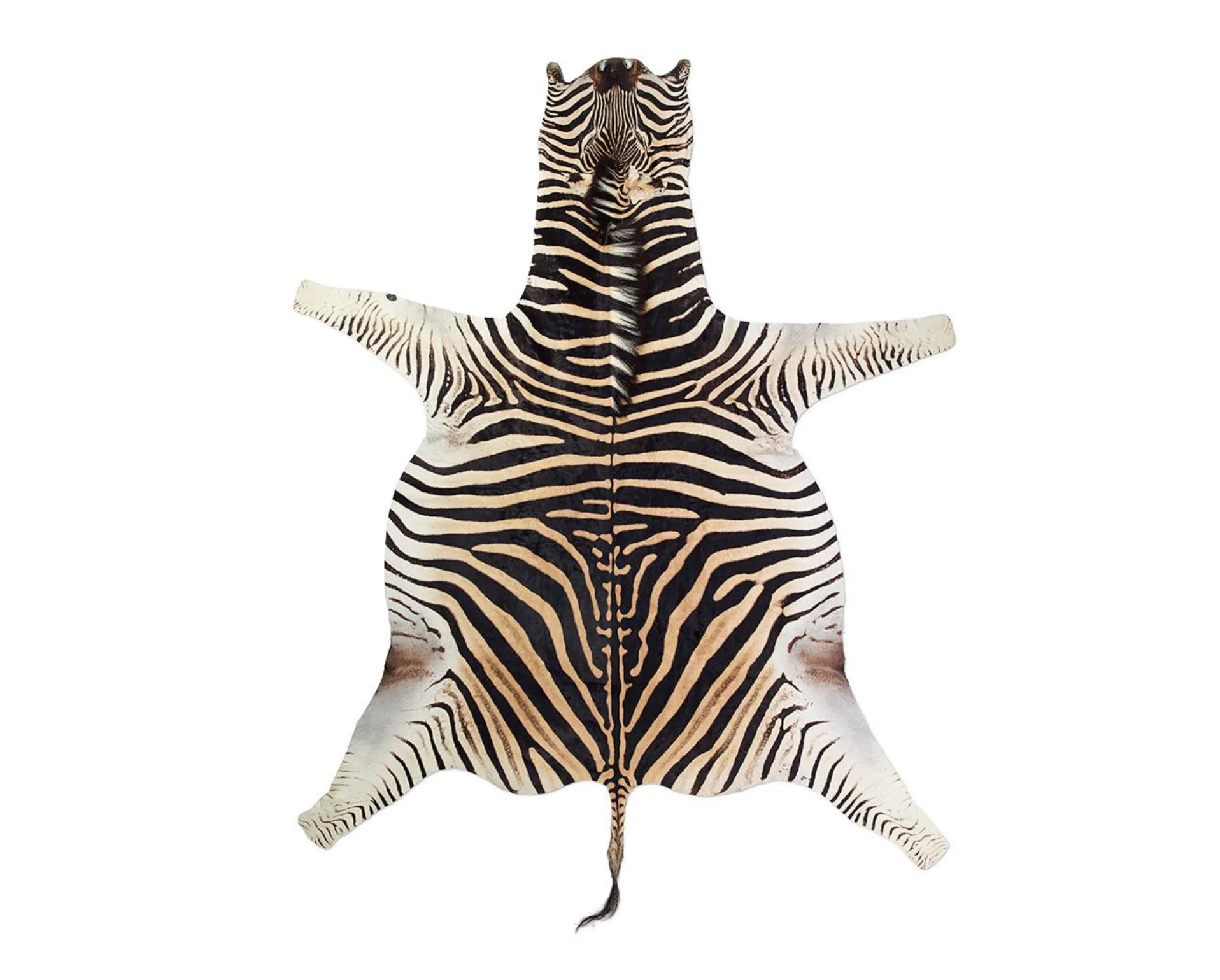 Zebra Hide Rug - Image 2