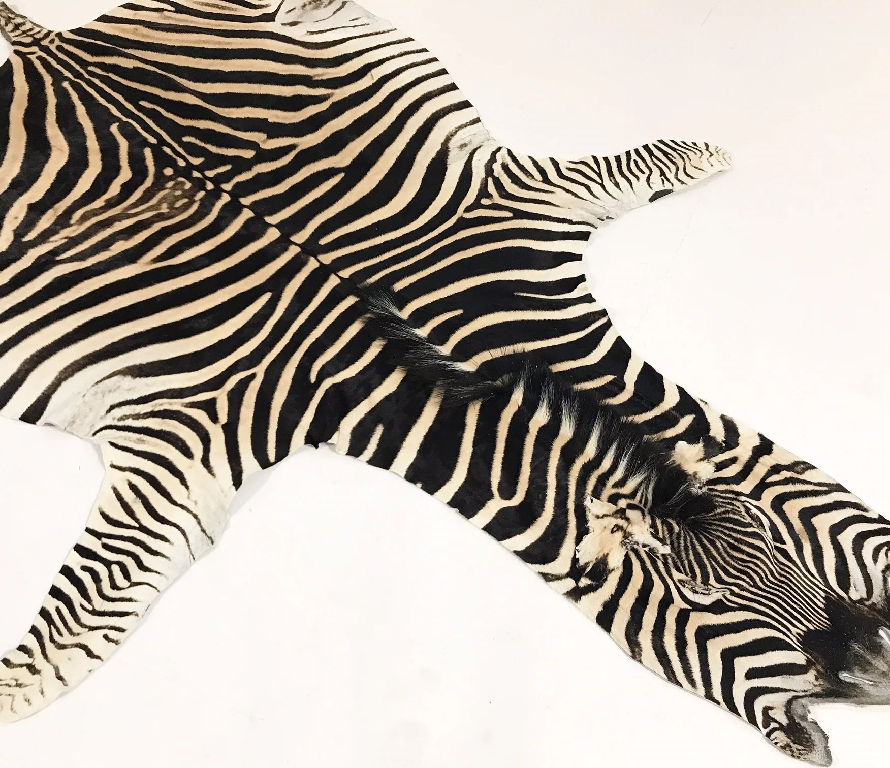 Zebra Hide Rug - Image 3