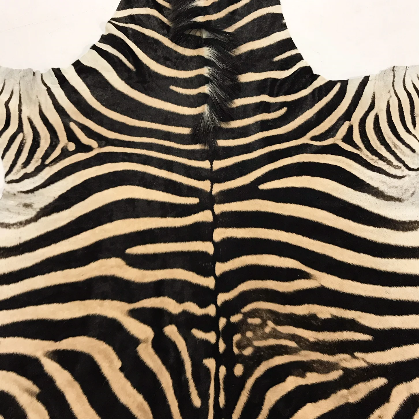 Zebra Hide Rug - Image 4