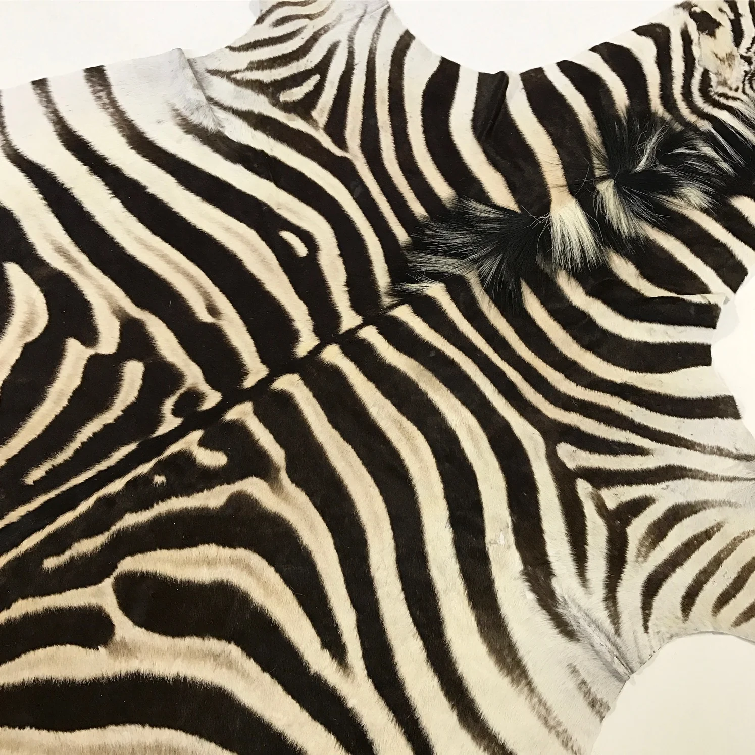 Zebra Hide Rug - Image 6