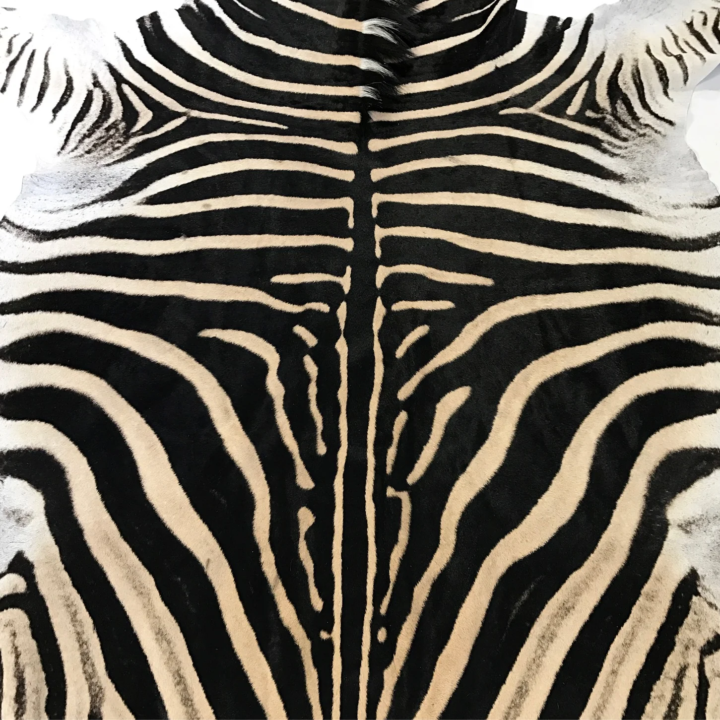 Zebra Hide Rug - Image 7