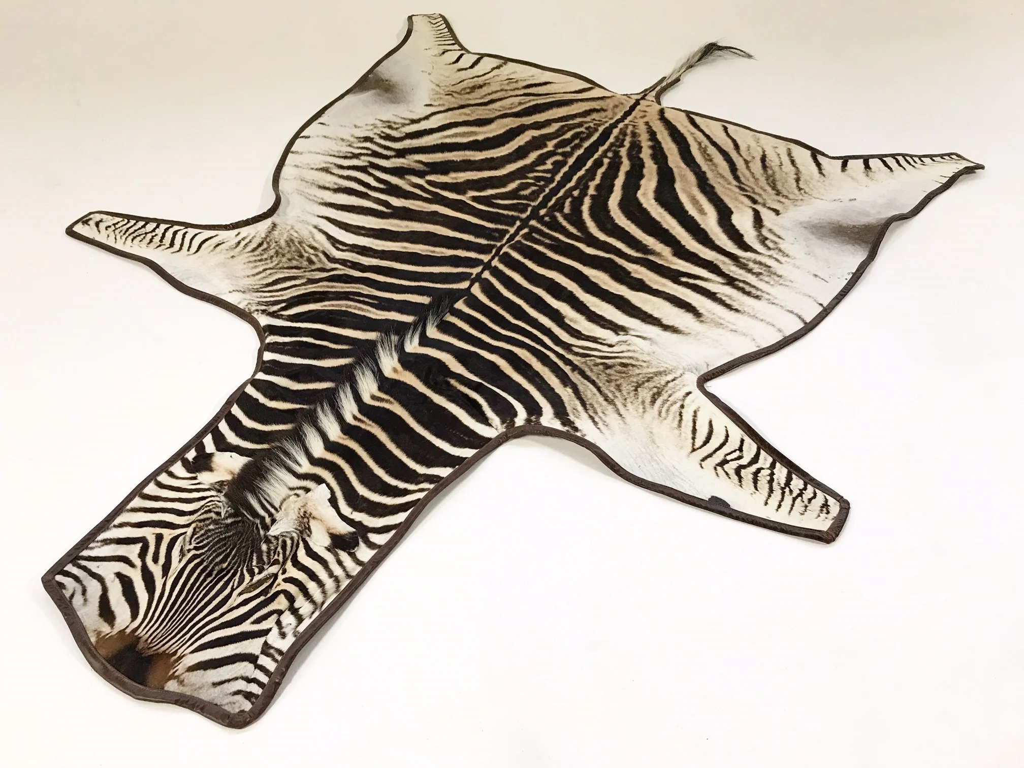 Zebra Hide Rug, Trimmed in Leather - Image 3