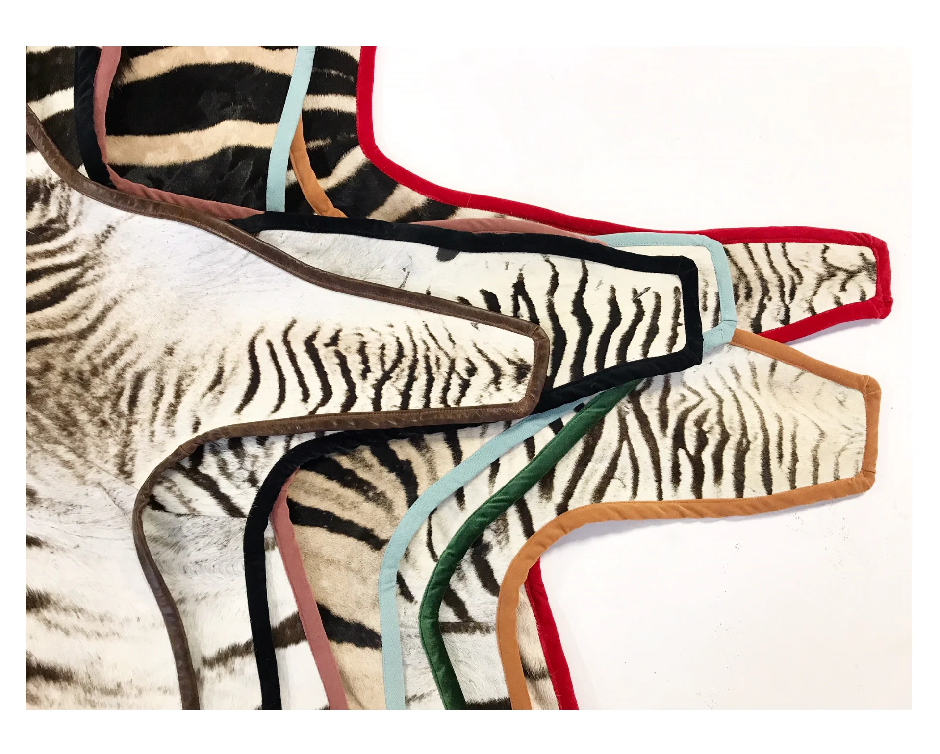 Zebra Hide Rug, Trimmed in Velvet