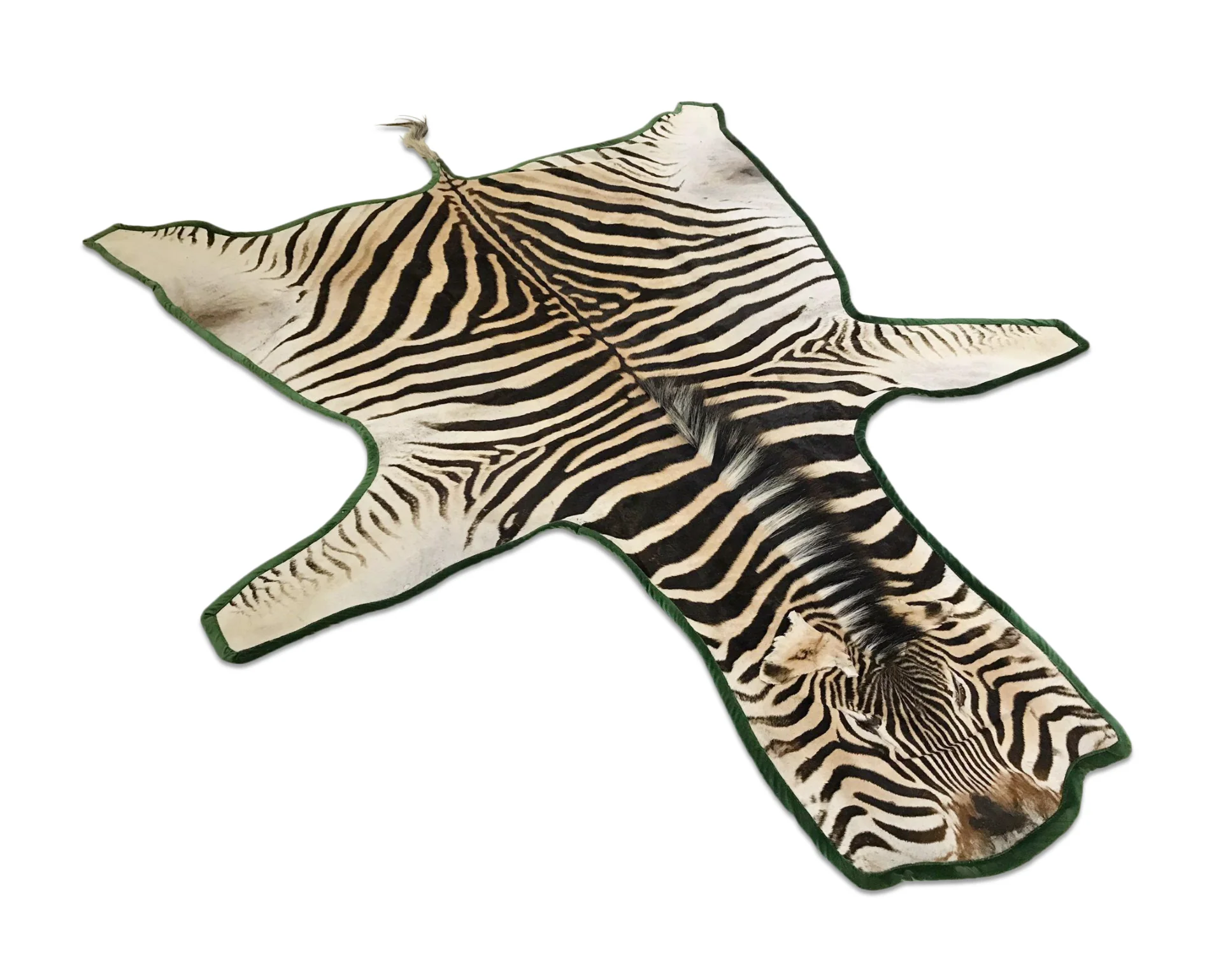 Zebra Hide Rug, Trimmed in Velvet - Image 2